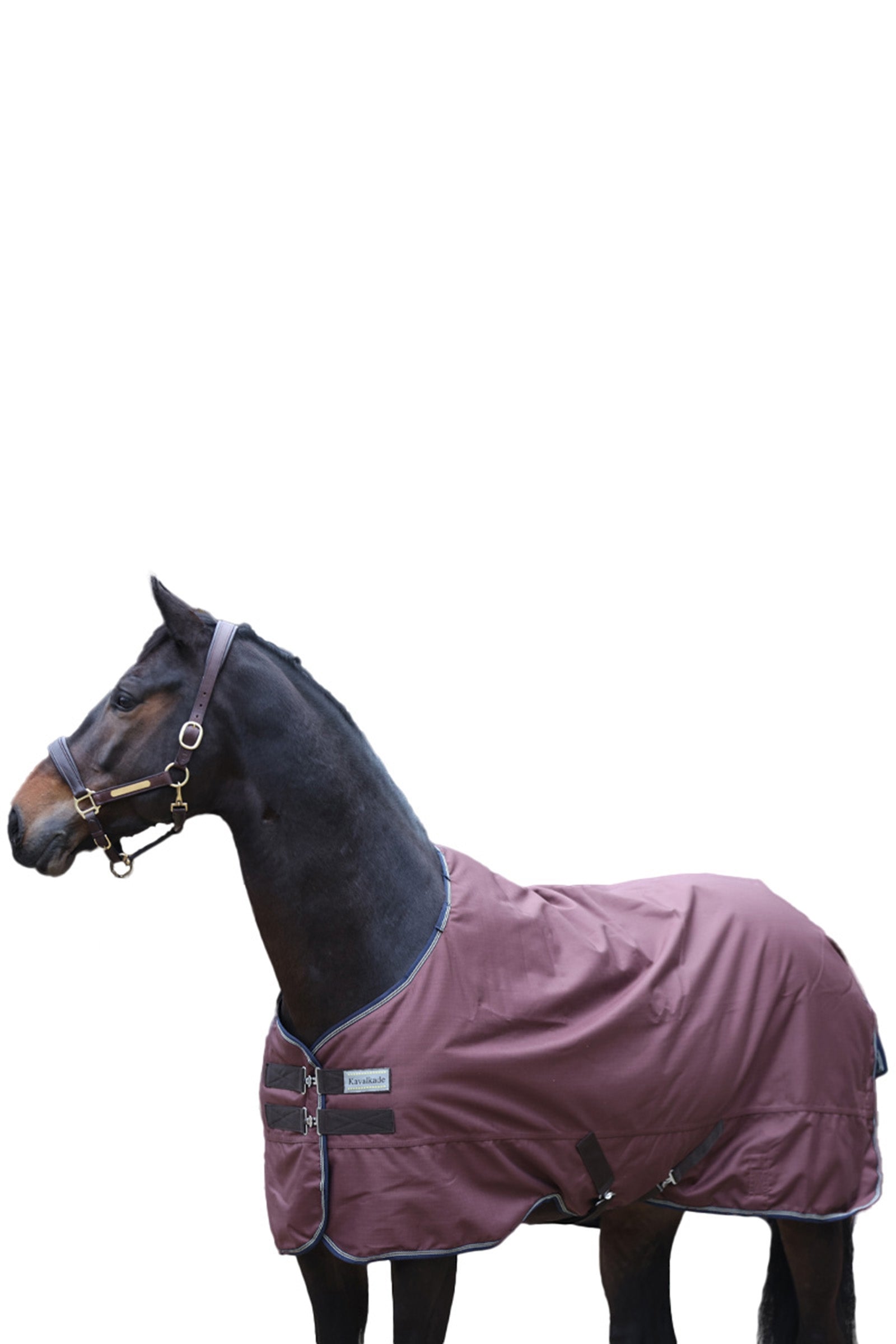 Kavalkade Couverture d'extérieur Montréal, 200 g Couvertures cheval