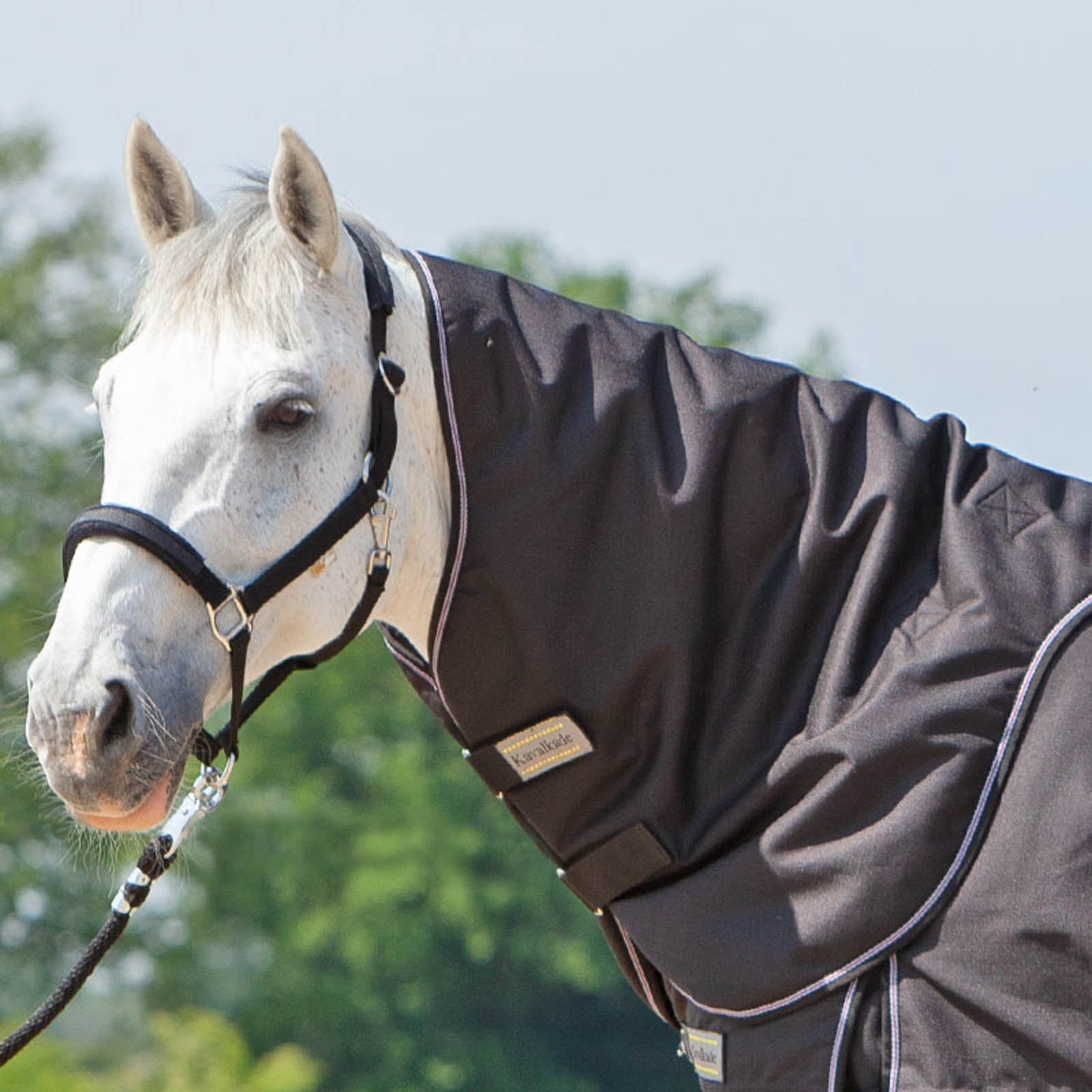 Kavalkade Neck for Alaska IV, 100g Horse Rugs
