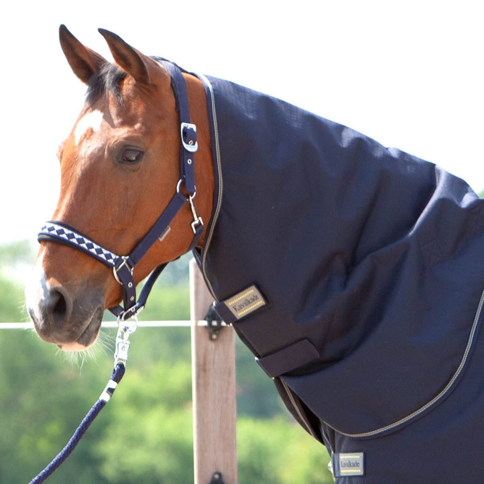 Kavalkade Couvre-encolure pour couverture Montreal, 100 g Couvertures cheval