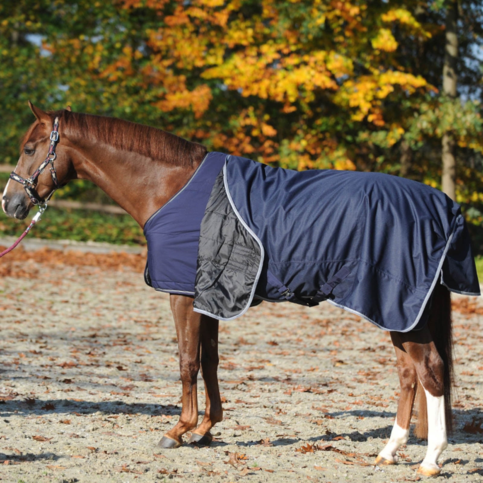 Kavalkade Sous-couverture 150 g Couvertures cheval