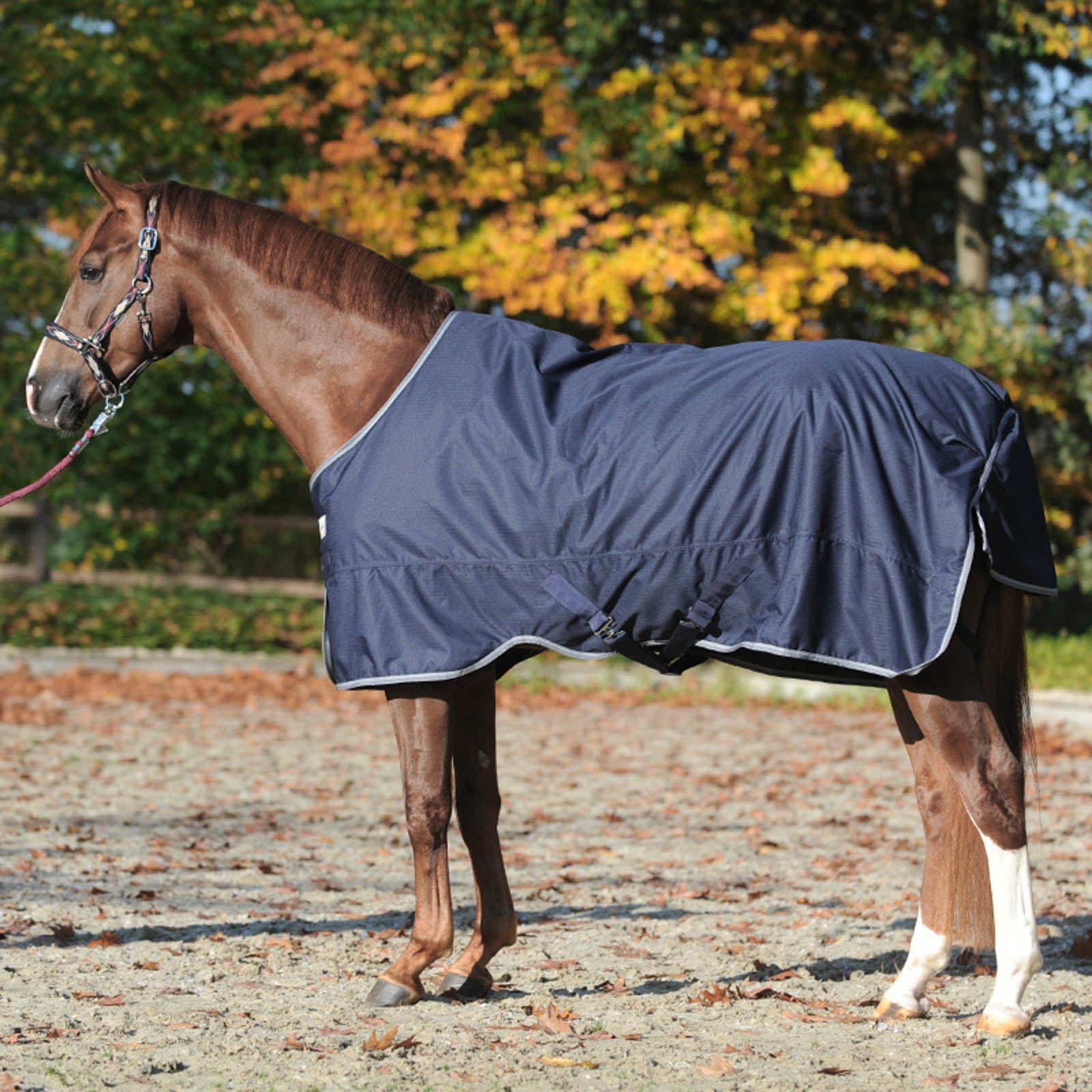 Kavalkade Winnipeg Turnout Rug, 200g Horse Rugs