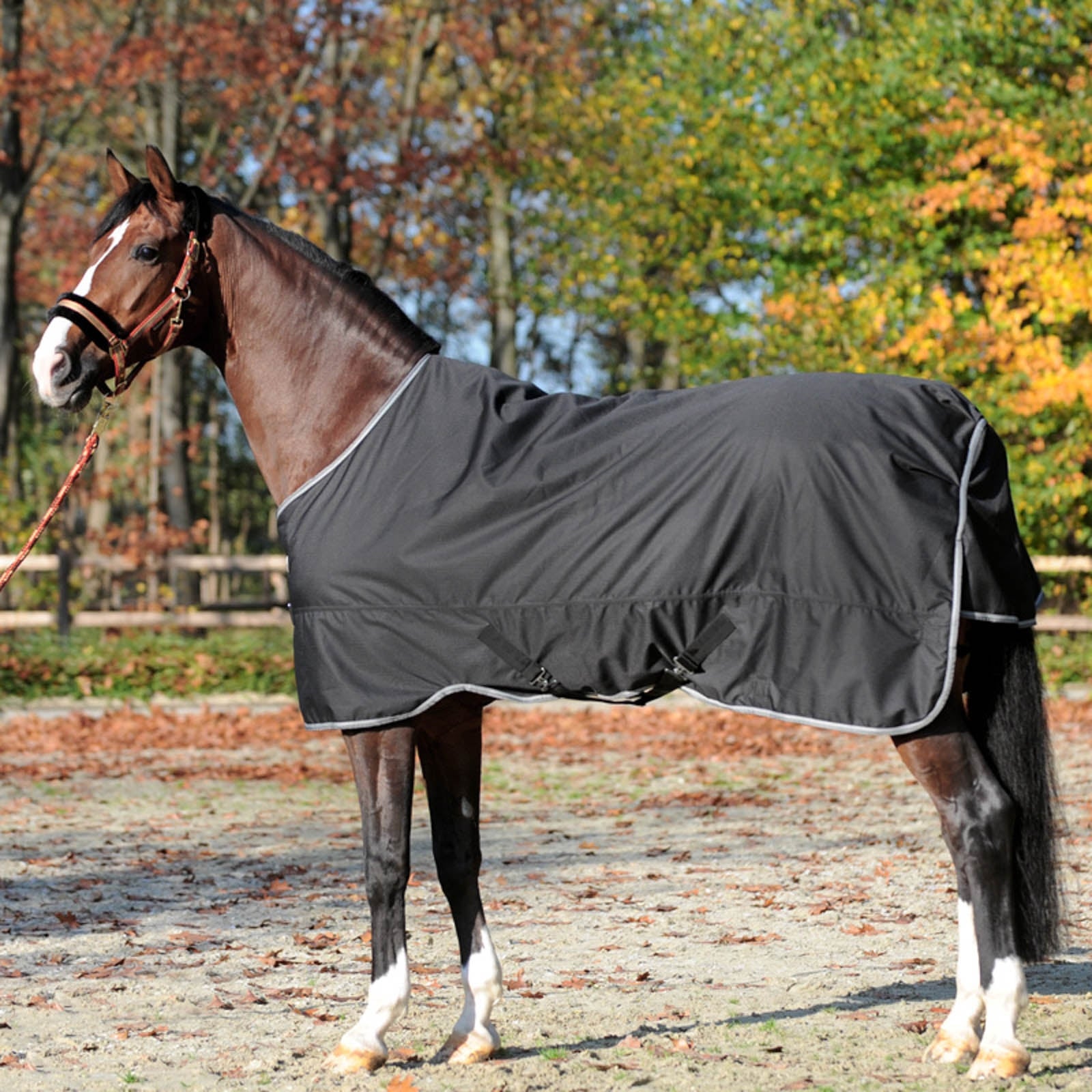 Kavalkade Couvertured'extérieur Winnipeg, 50 g Couvertures cheval