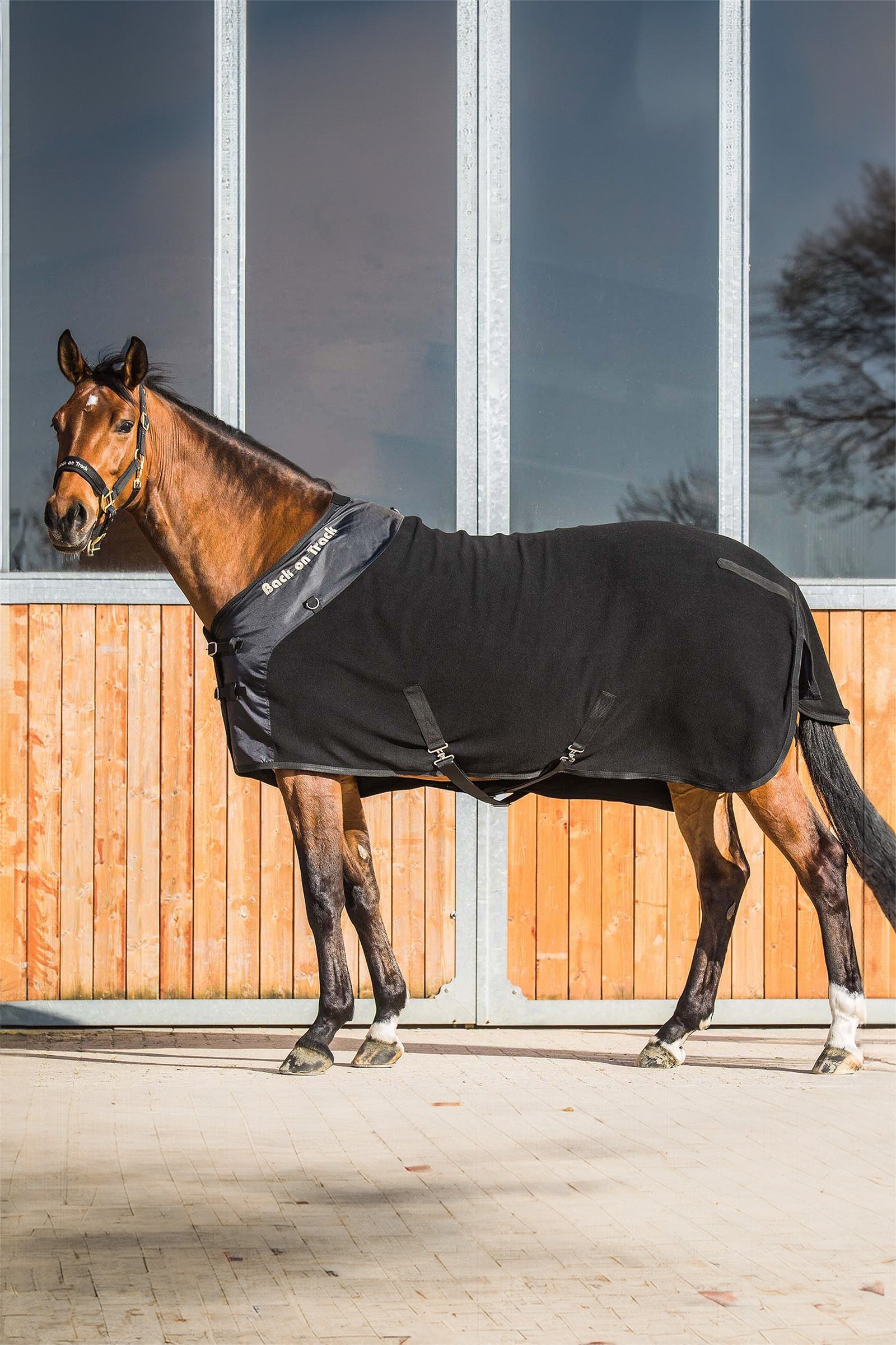 Back on Track Couverture polaire Supreme Couvertures cheval