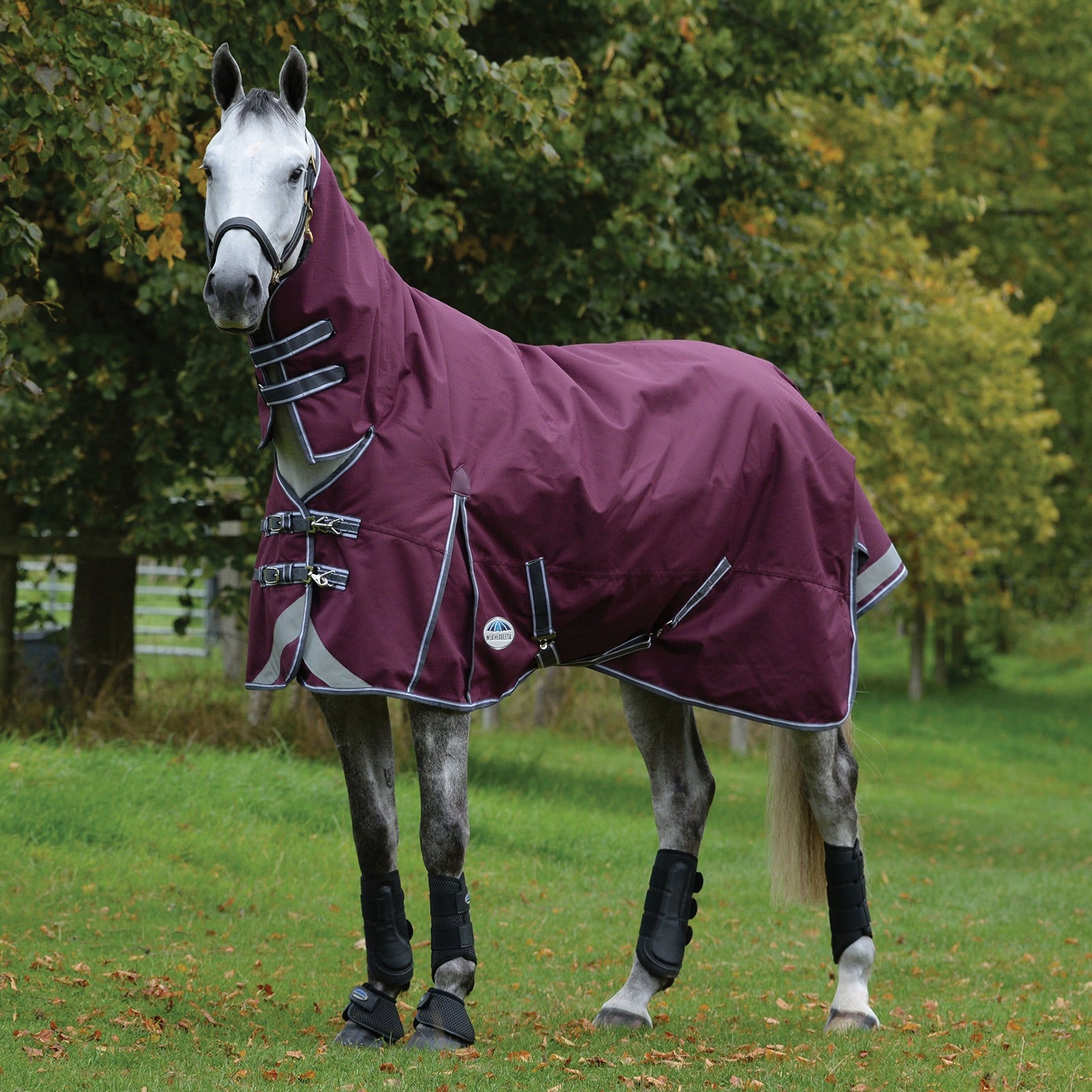 Weatherbeeta Couverture d'extérieur Comfitec Plus Dynamic II Combo Couvre-encolure, 220g Couvertures cheval