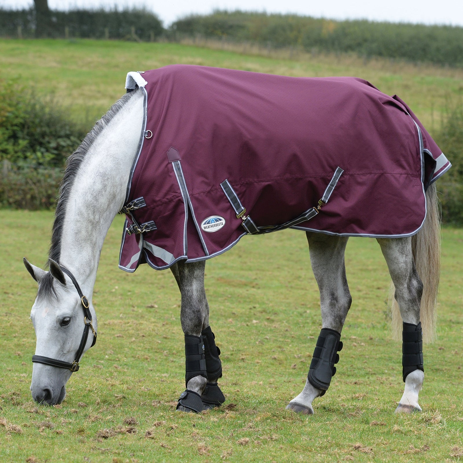 Weatherbeeta Comfitec Plus Dynamic II couverture d’extérieur avec encolure standard, 0g Couvertures cheval