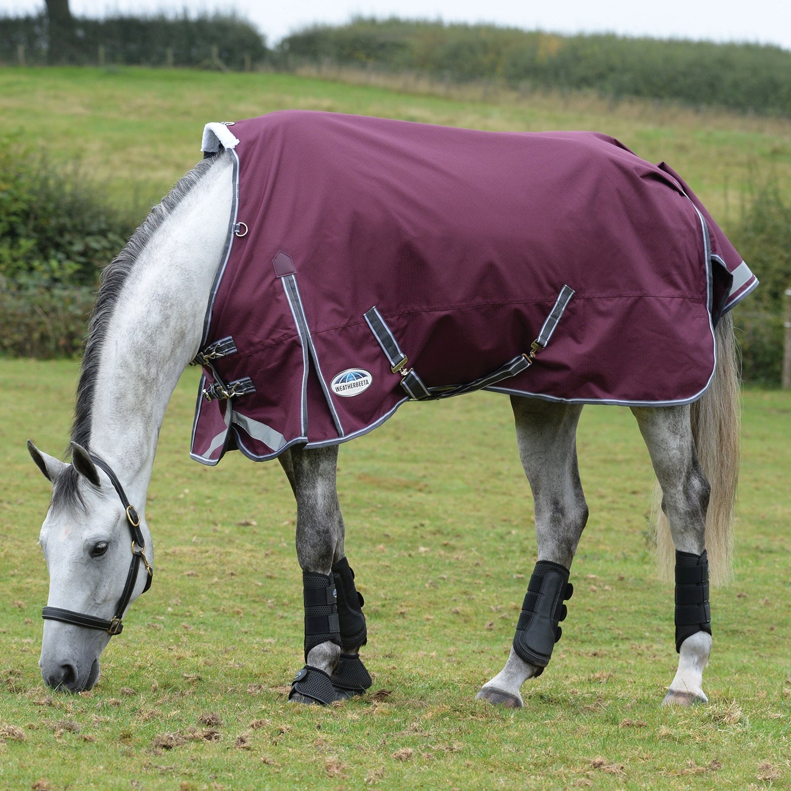 Weatherbeeta Couverture d'extérieur Comfitec Plus Dynamic II, 100g Couvertures cheval