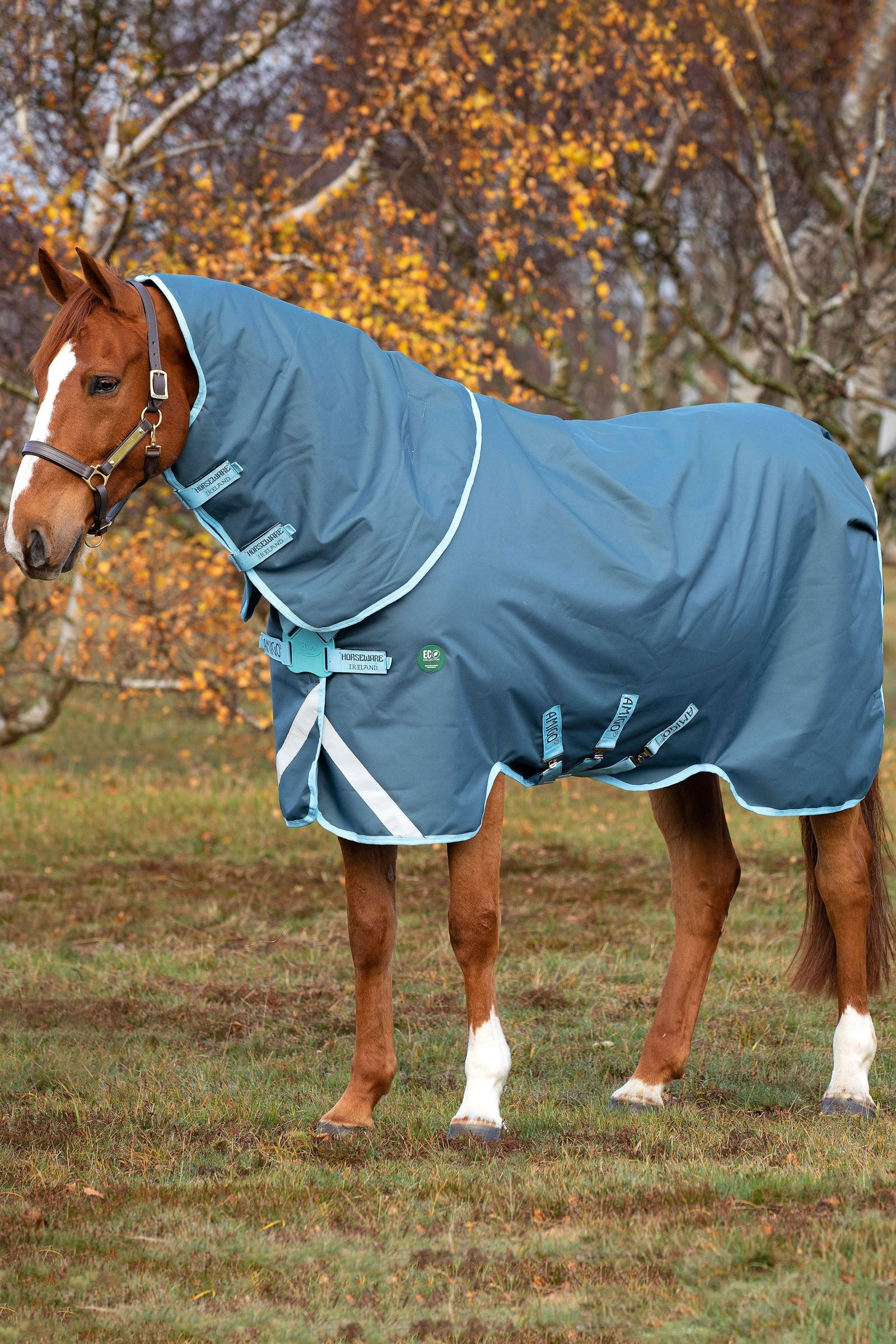 Horseware Couverture Amigo AmEco 12 Plus avec couvre-encolure amovible, 250 g Couvertures cheval