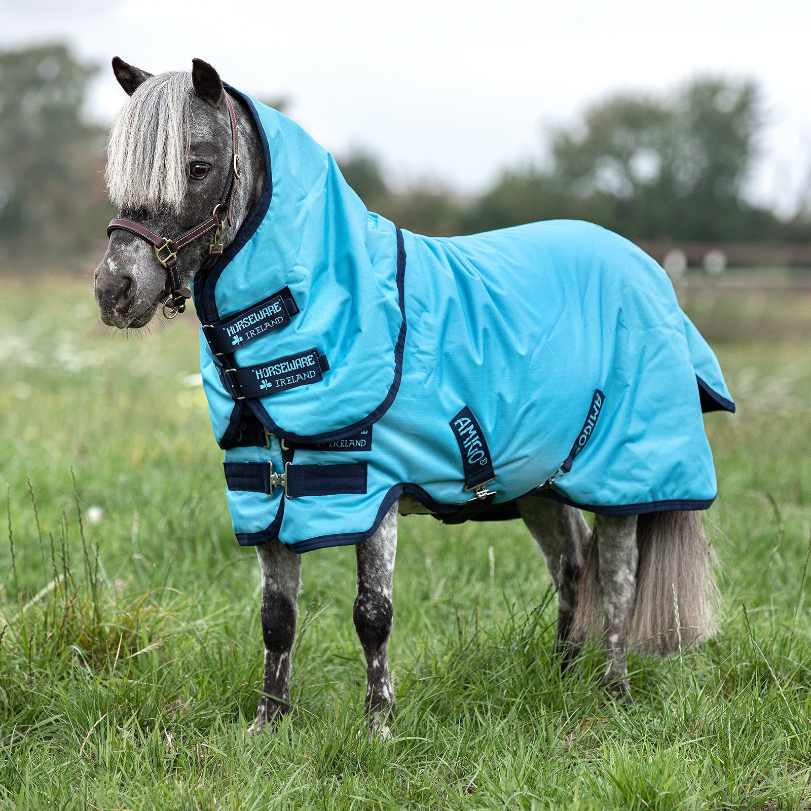 Horseware Couverture d'extérieur Amigo Hero 6 Petite Plus avec couvre-encolure amovible inclus, 0 g Couvertures cheval