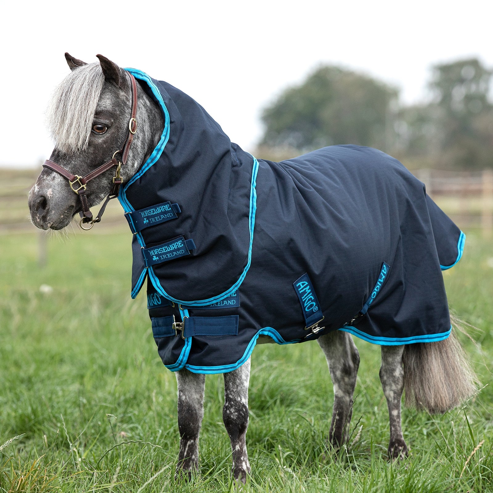 Horseware Couverture d'extérieur Amigo Hero 6 Plus avec couvre-encolure amovible, 200 g Couvertures cheval