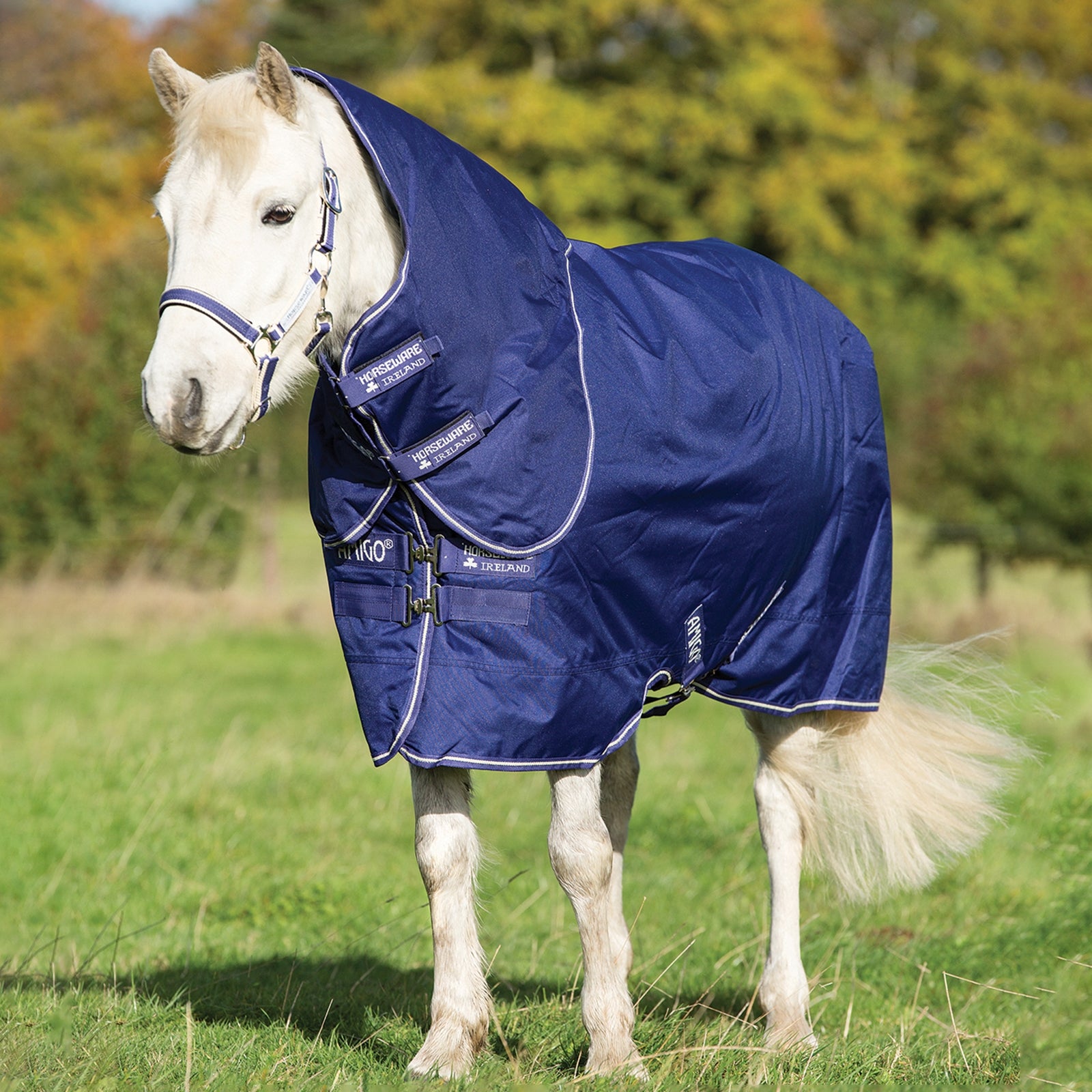 Horseware Couverture d'extérieur Amigo Hero 900 Plus avec couvre-encolure amovible, 200 g, Poney Couvertures cheval