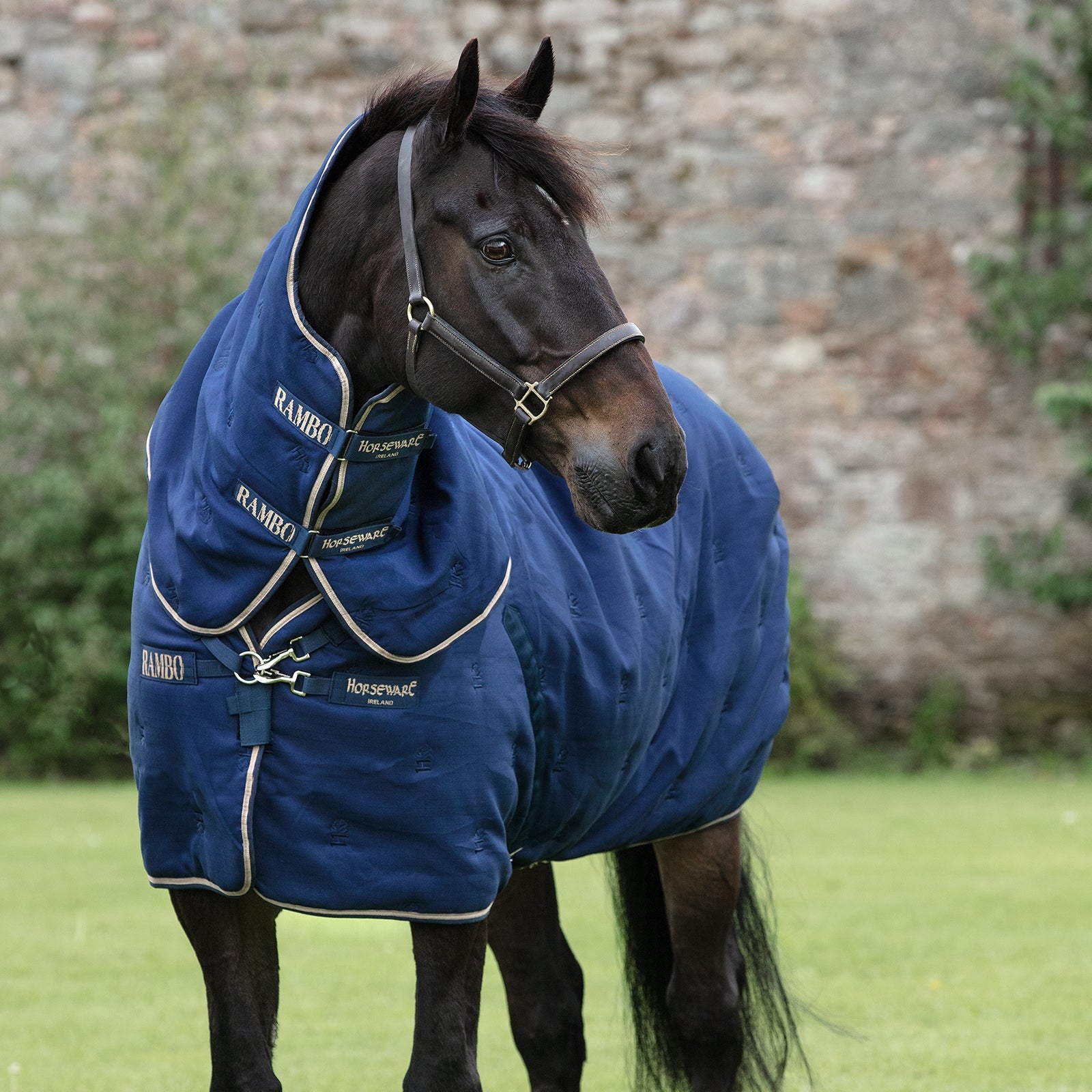 Horseware Couverture Rambo Deluxe Stable Plus avec couvre-encolure amovible, 200 g Couvertures cheval