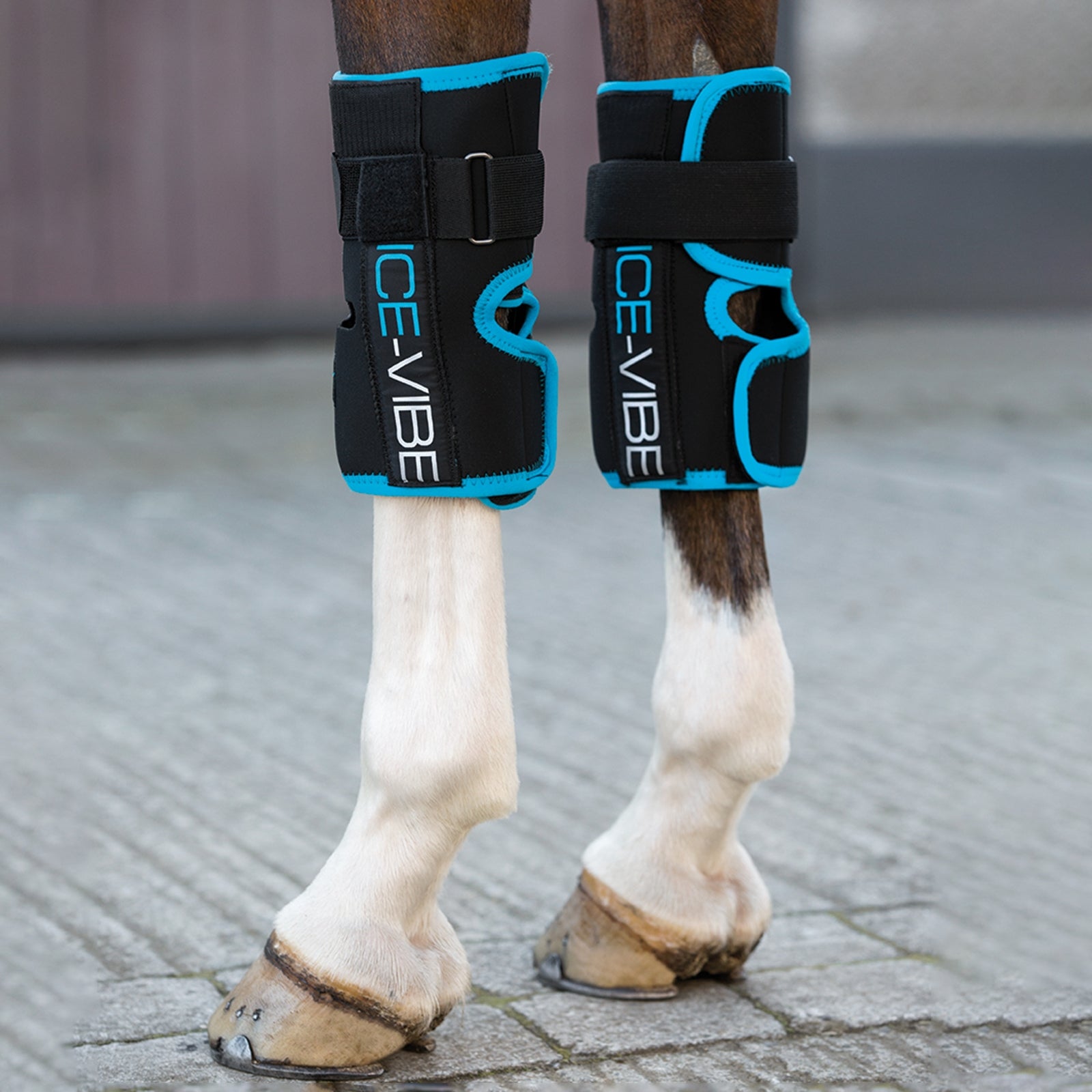 Horseware Genouillère vibrante et glace Ice-Vibe Soins
