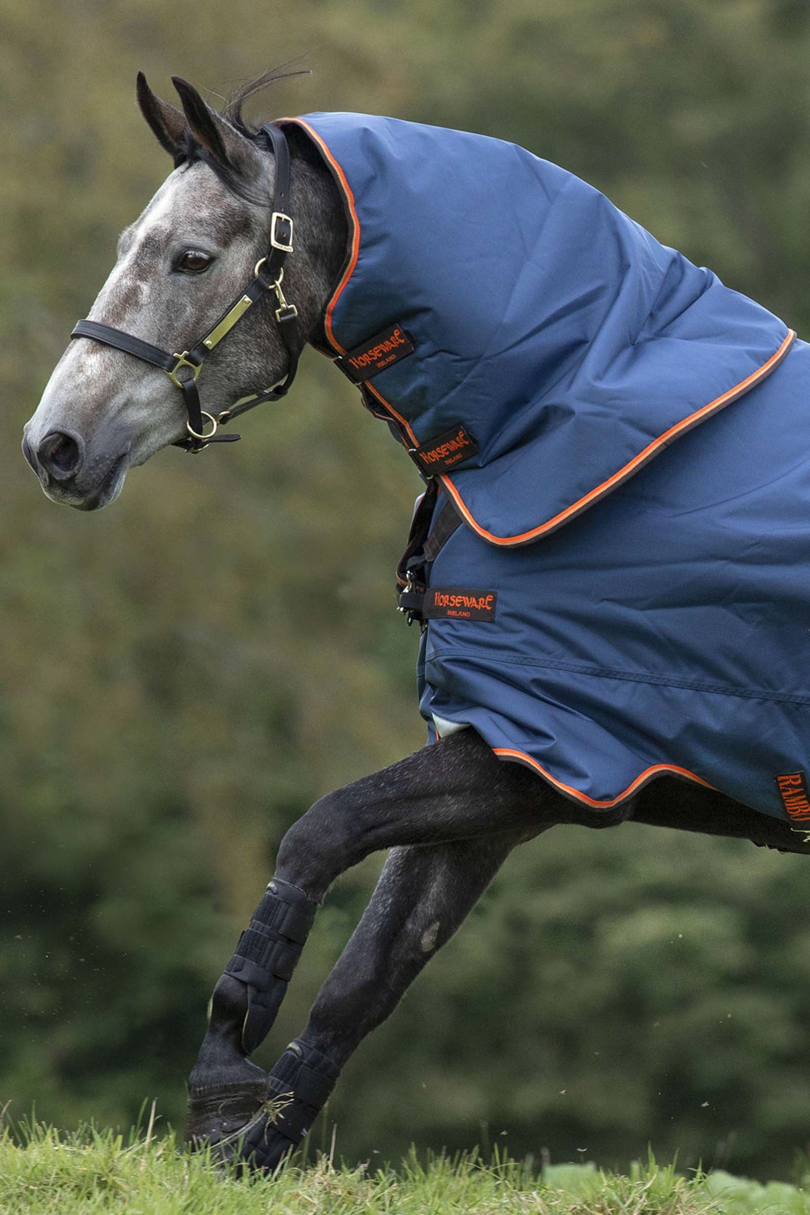 Horseware Rambo Duo Hood, 50g Couvertures cheval