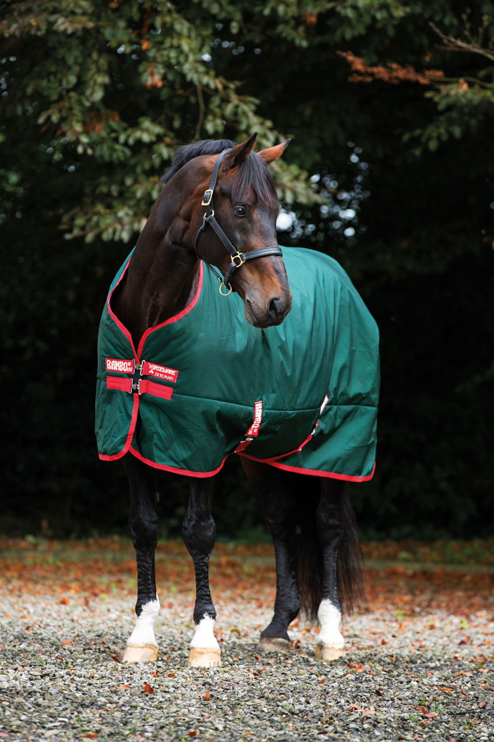 Horseware Couverture d'extérieur Rambo Original, 0 g Couvertures cheval