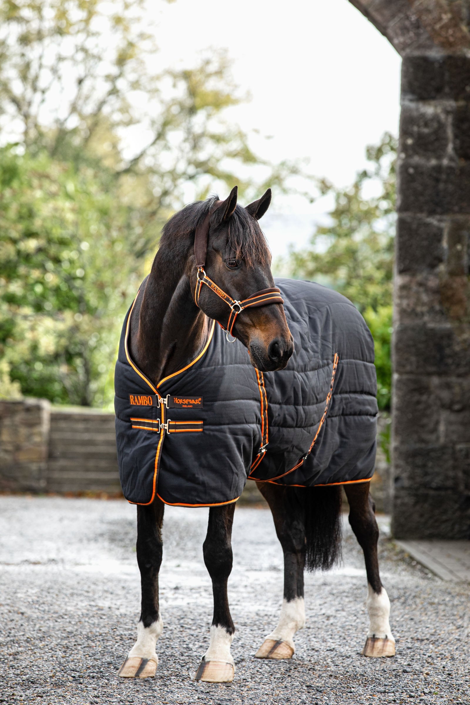 Horseware Couverture d'écurie Rambo, 200 g Couvertures cheval