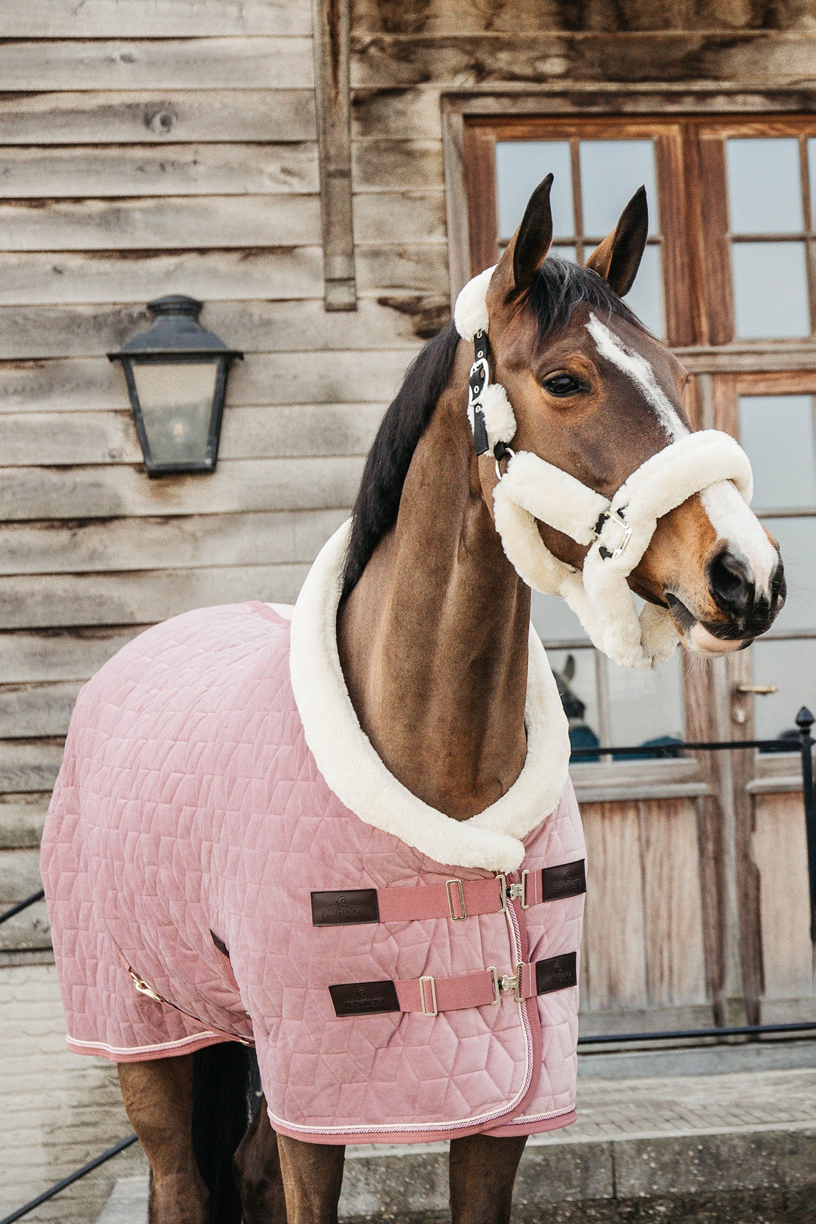 Kentucky Horsewear Couverture de présentation Velvet poney, 160g Couvertures cheval