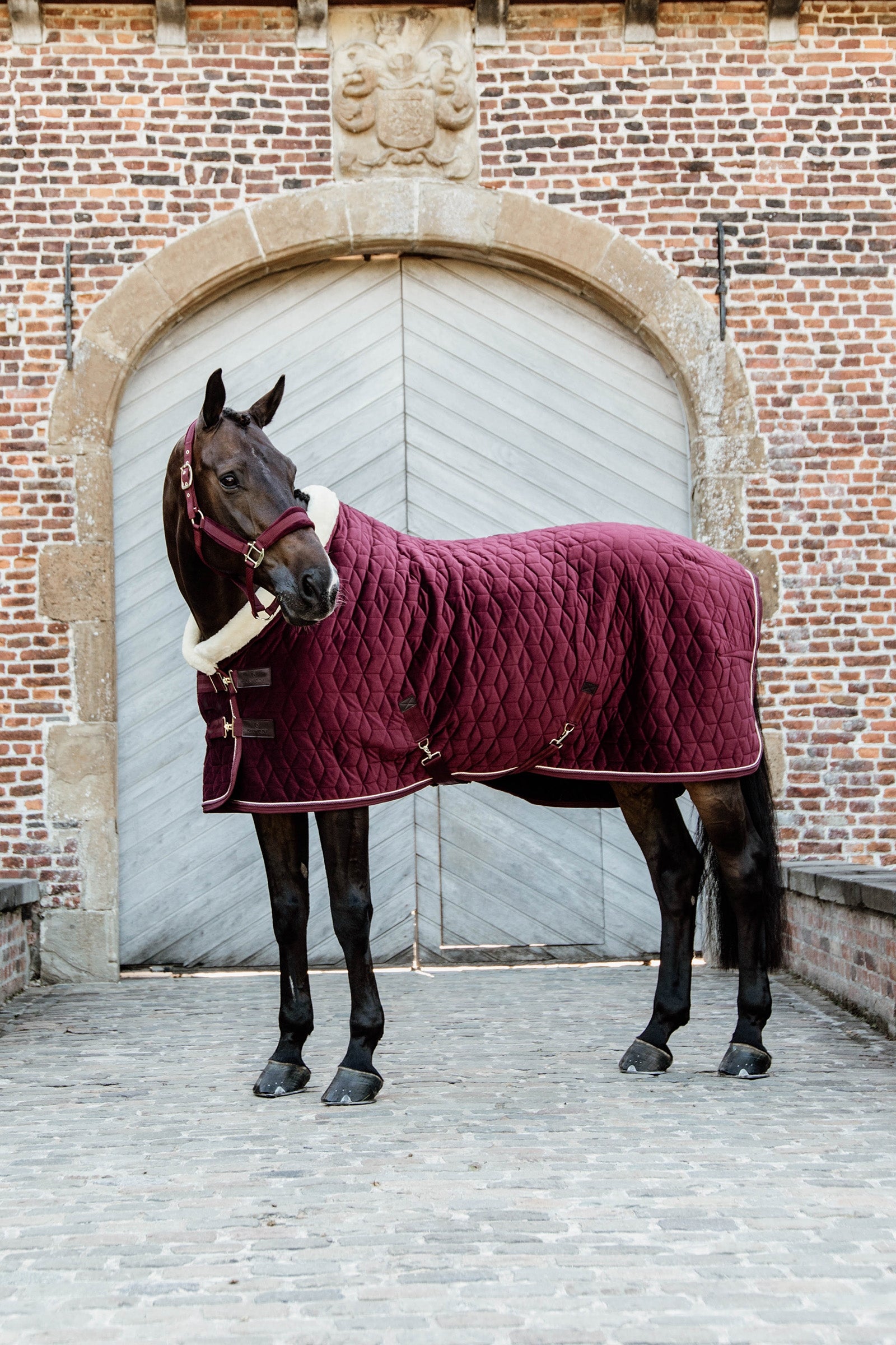 Kentucky Horsewear Couverture de présentation Velvet, 160g Couvertures cheval
