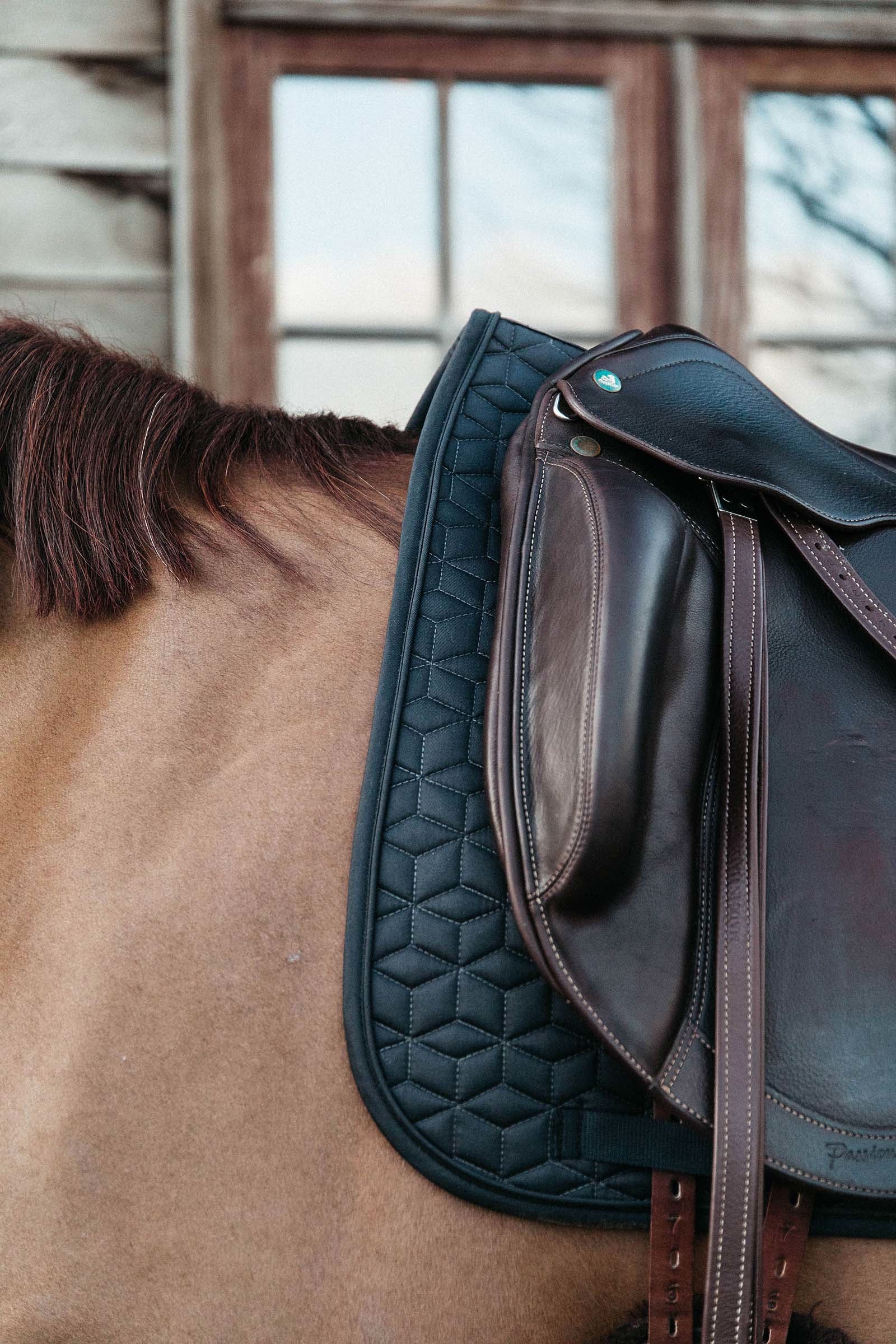 Kentucky Horsewear Basic Dressage Saddle Pad Saddle Pads