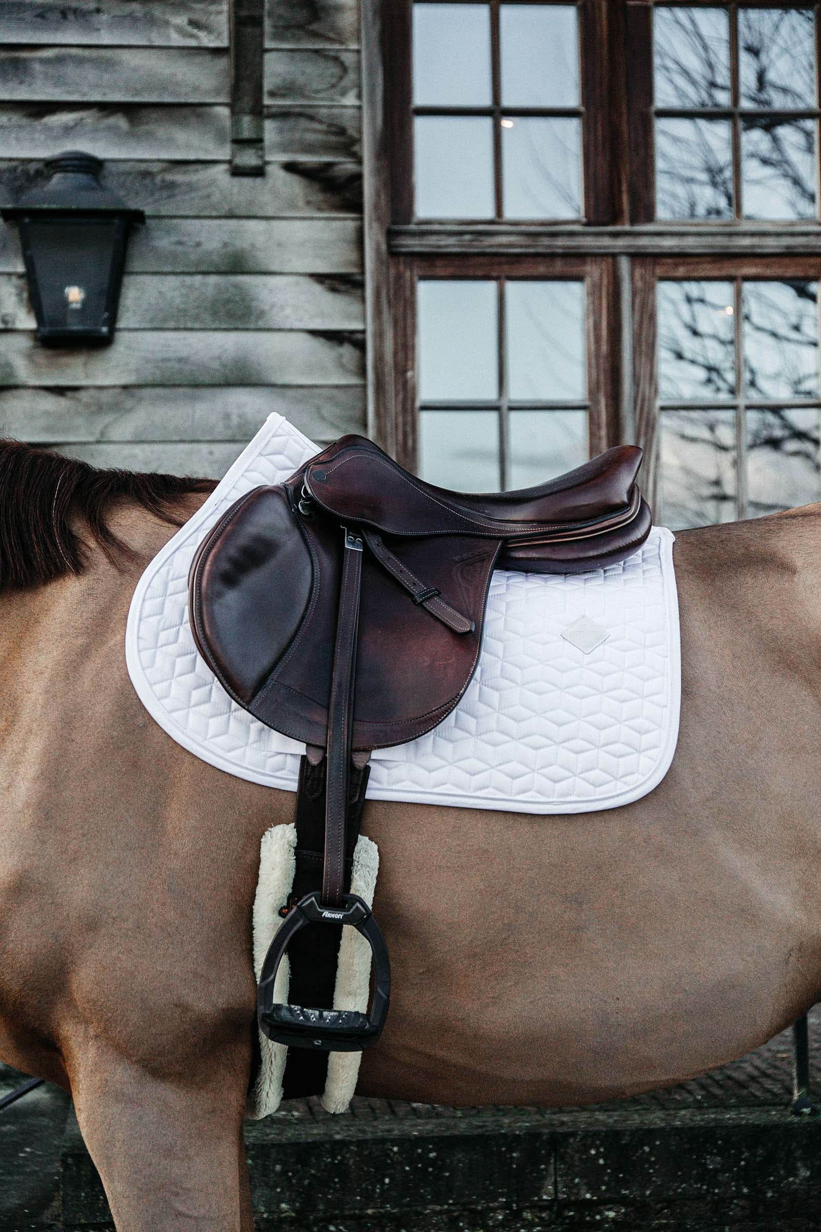 Kentucky Horsewear Basic Jumping Saddle Pad Saddle Pads