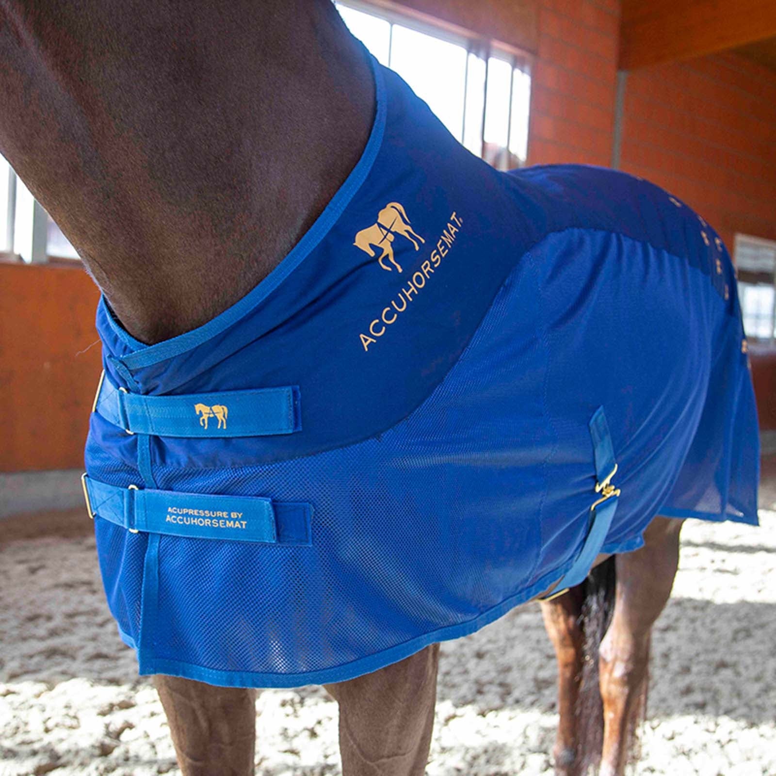 Accuhorsemat Couverture d'acupression Cooler Couvertures cheval