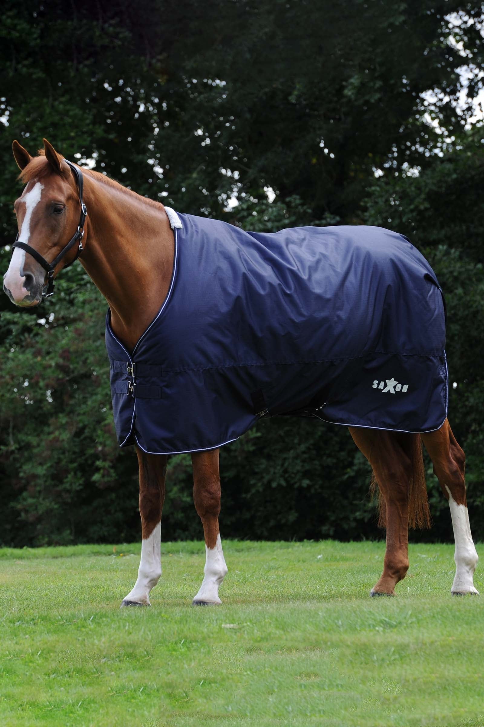 Saxon Couverture d'extérieur Defiant 600D, 0 g Couvertures cheval