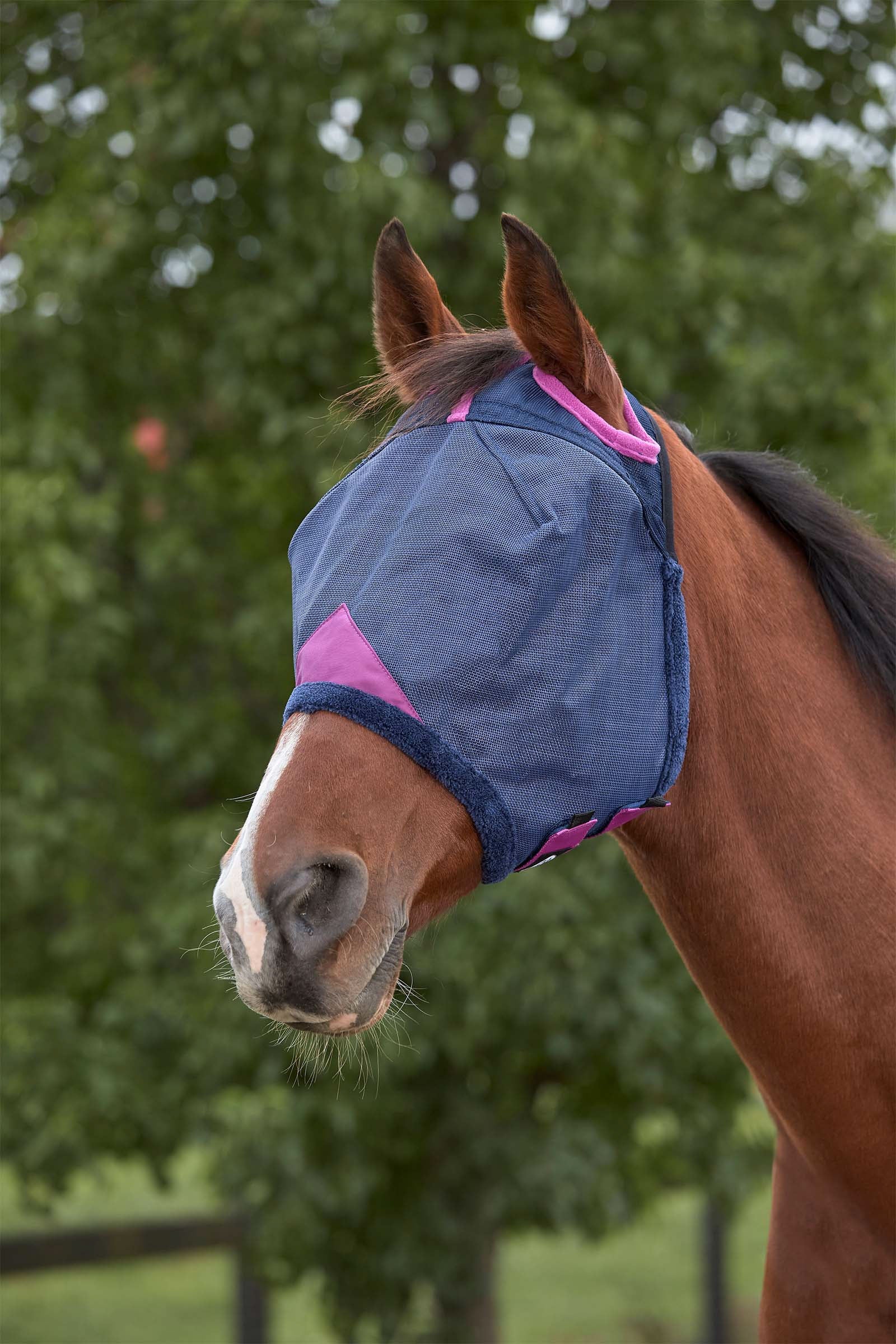 Weatherbeeta Comfitec Deluxe masque en mesh résistant Anti-mouches cheval