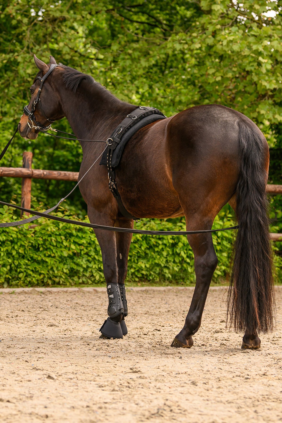 Waldhausen Double Lunge Line Classic Silver Horse Training