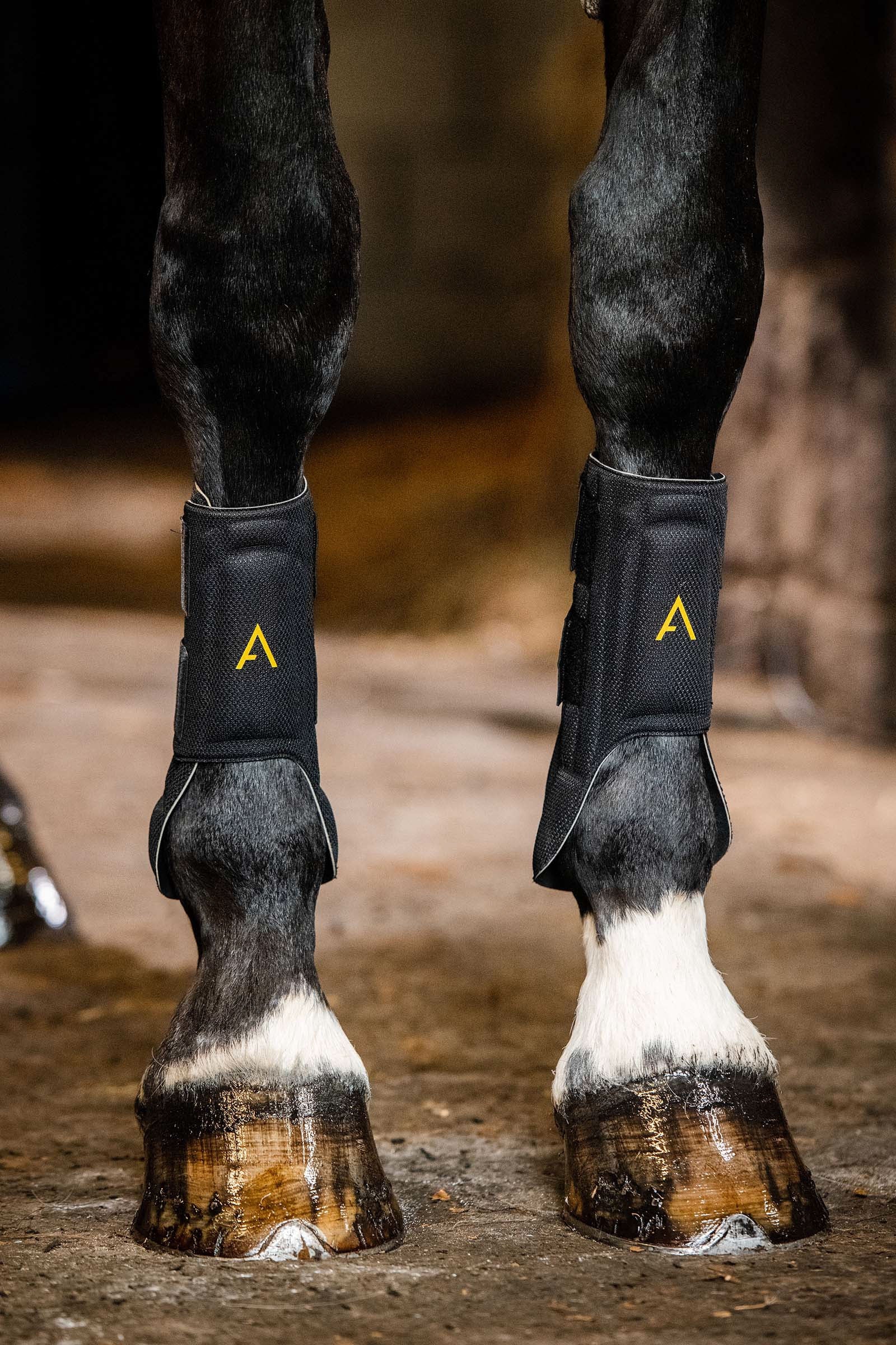 Horseware Guêtres Adagio Leg Protection & Hoof Protection for Horses