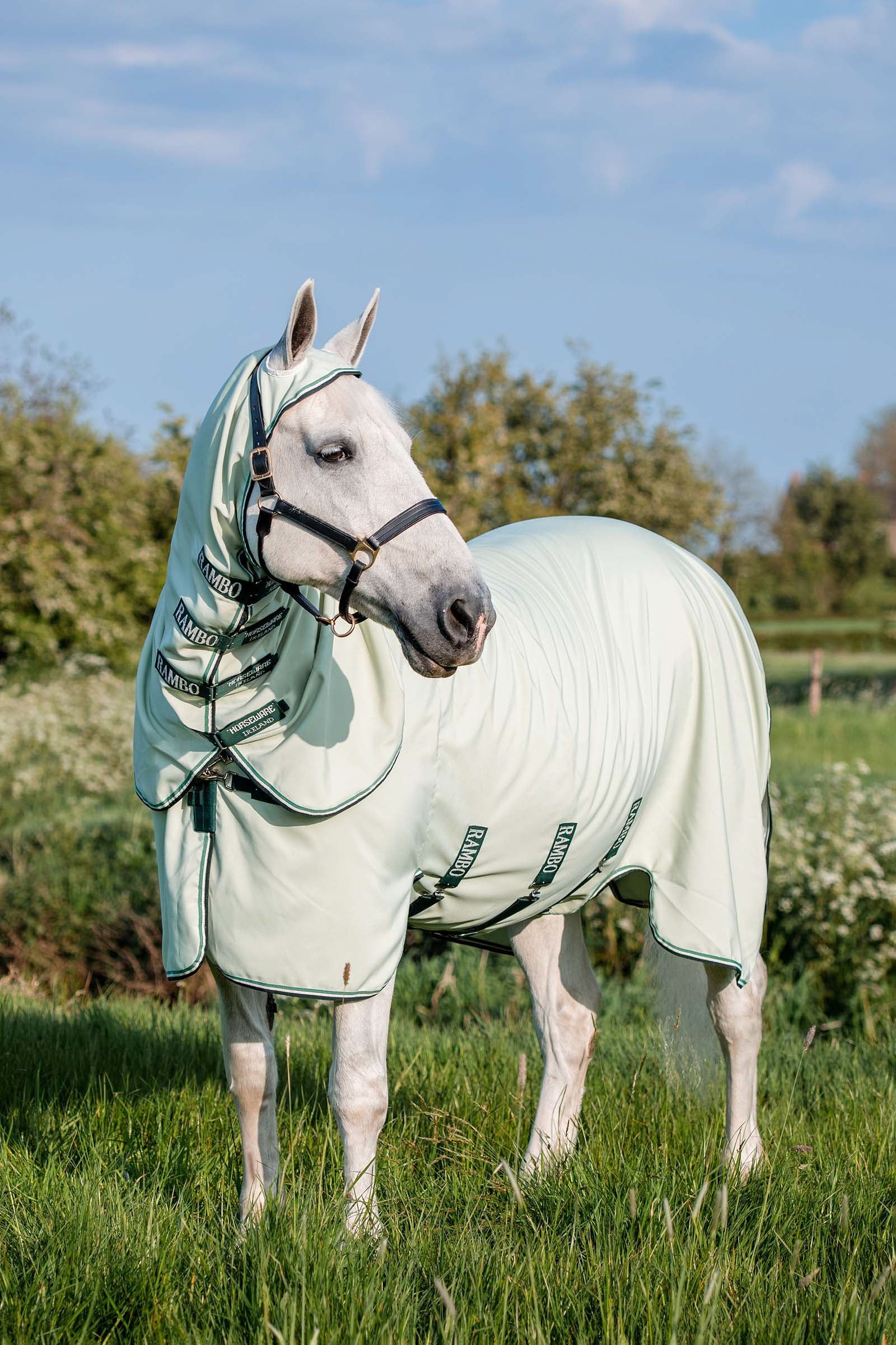Horseware Sweat à capuche Rambo XL Couvertures cheval