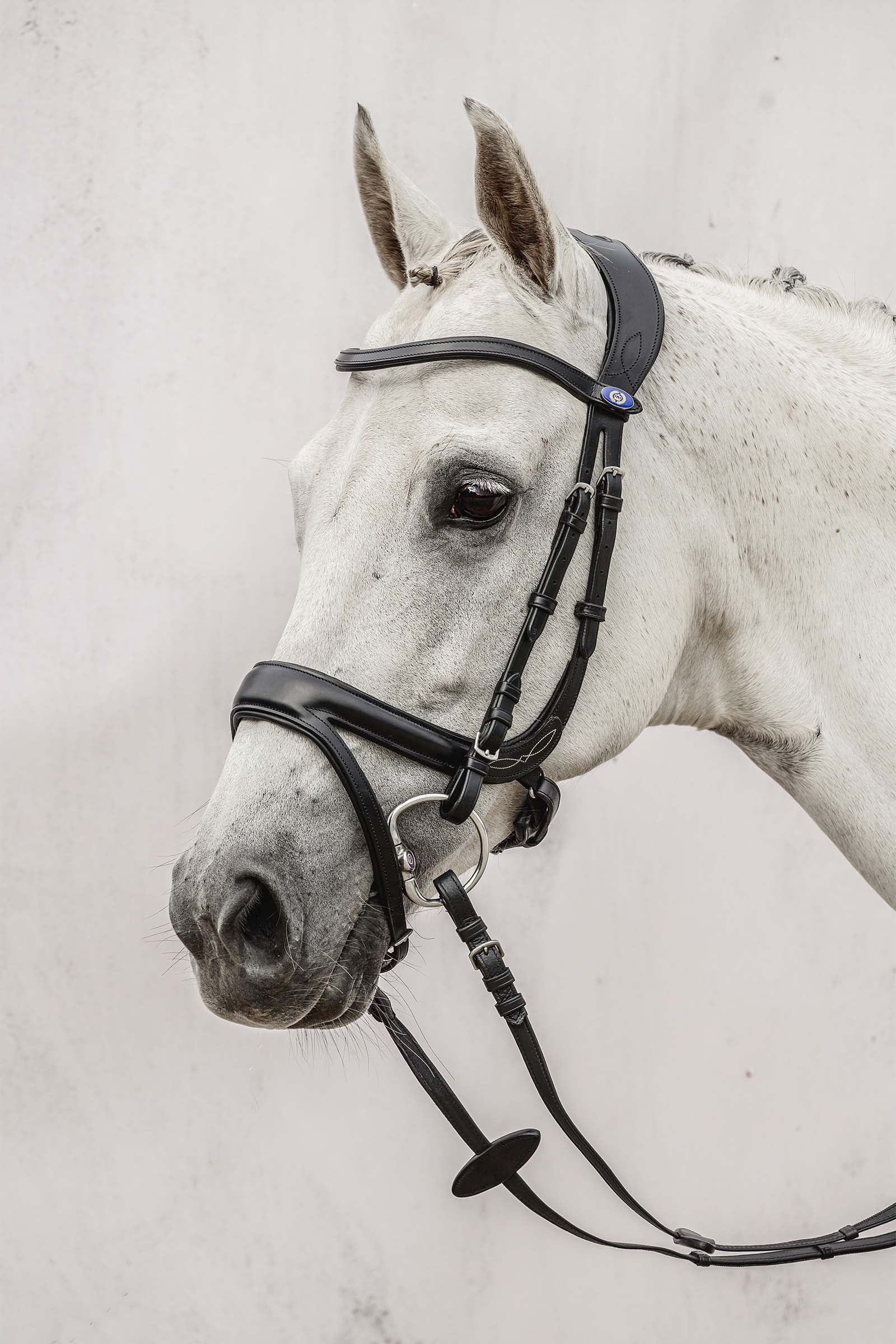 PS of Sweden Jump Off Bridle Bridles & Reins
