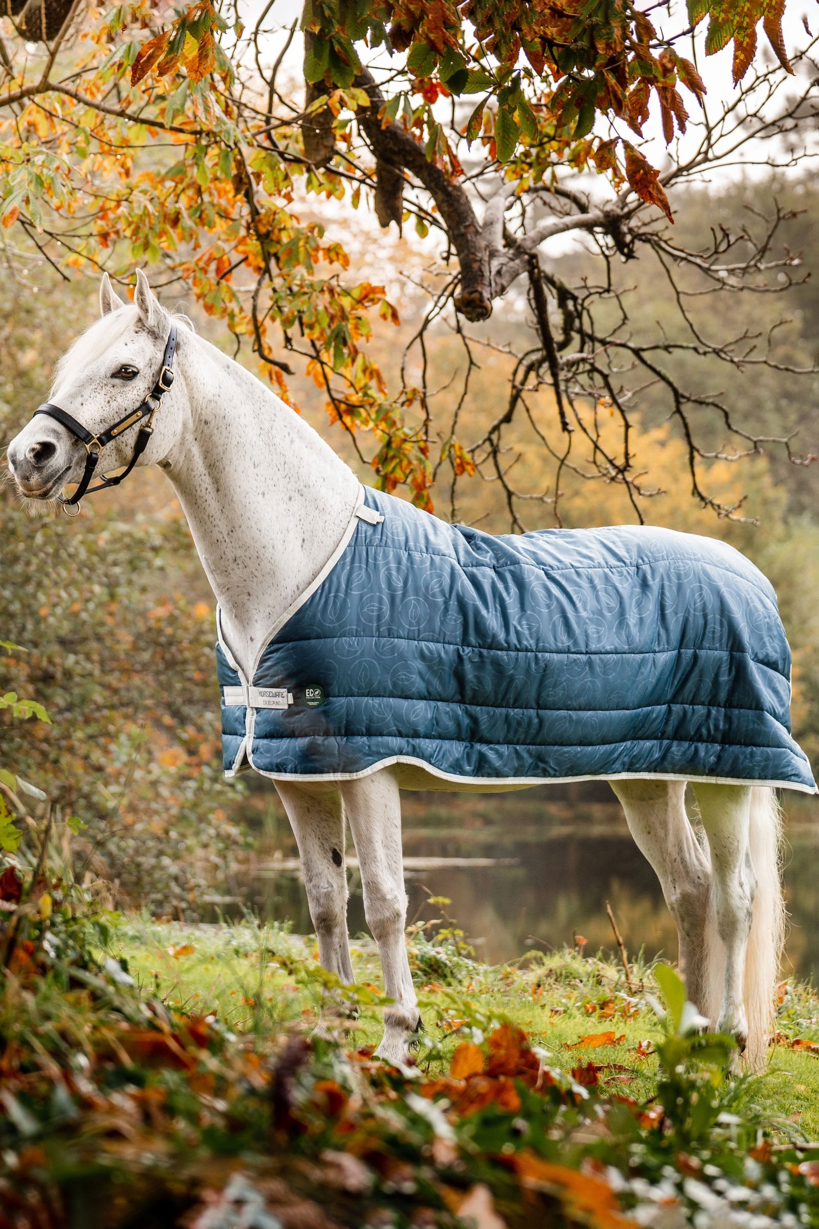 Horseware Doublure AmEco , 100 g Couvertures cheval