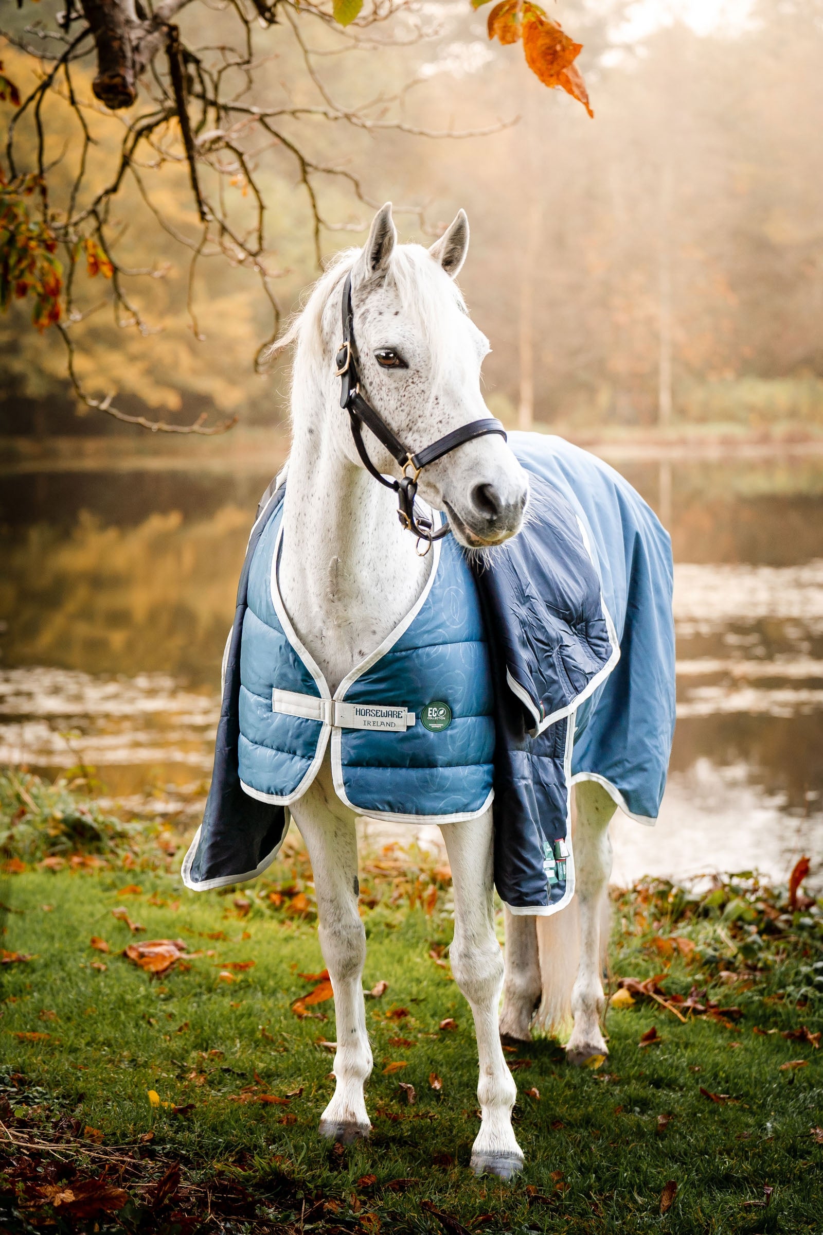 Horseware Eco Liner, 200g Horse Rugs