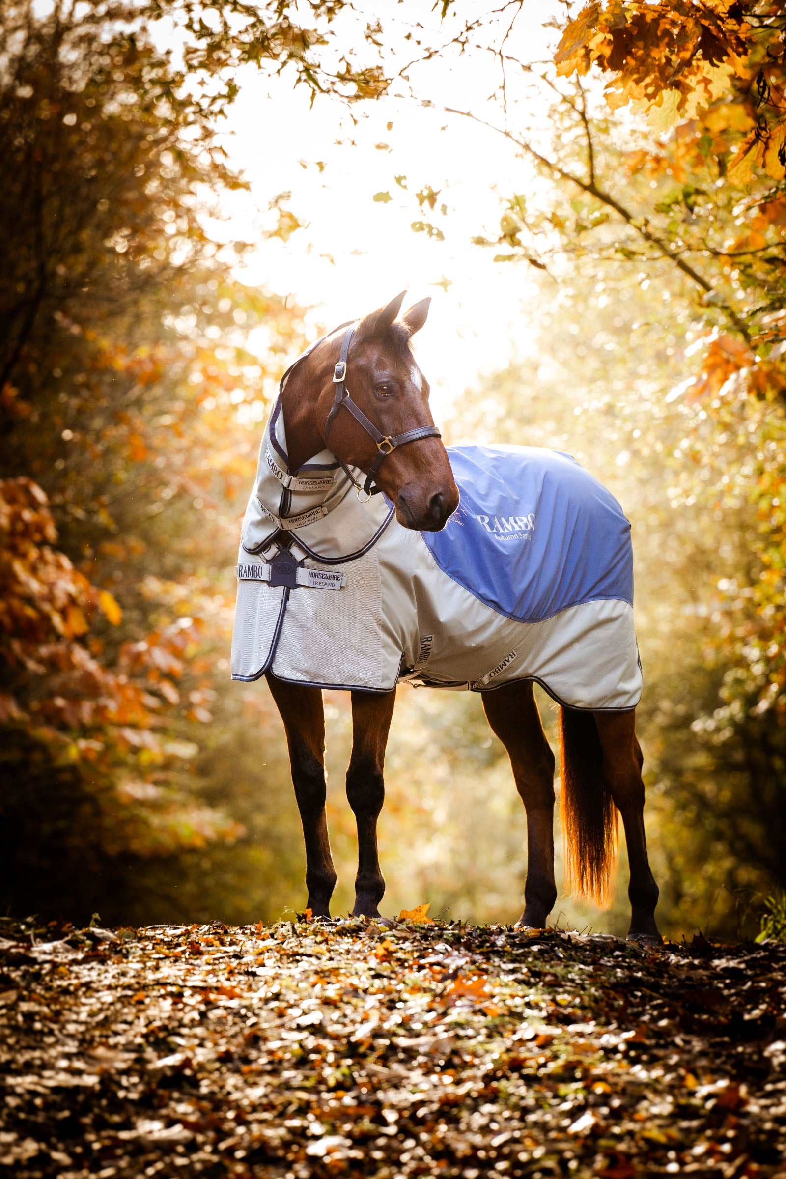 Horseware Rambo Autumn Series couverture de prairie avec sous-couverture (0 g / 100 g) Couvertures cheval