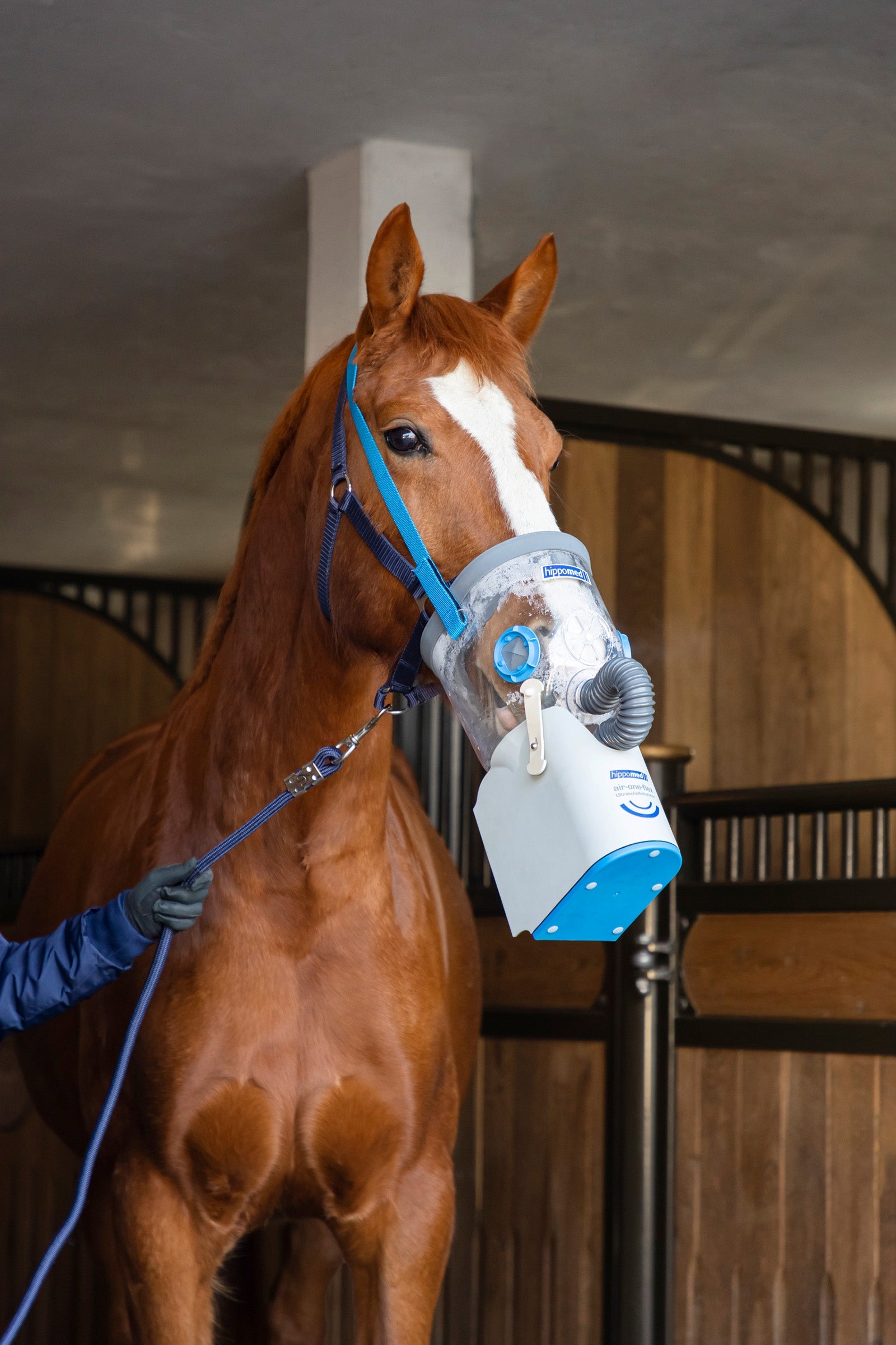 Hippomed AirOne Flex Battery Ultrasound Inhaler with Mask, Warmblood Horse Feed & Nutrition