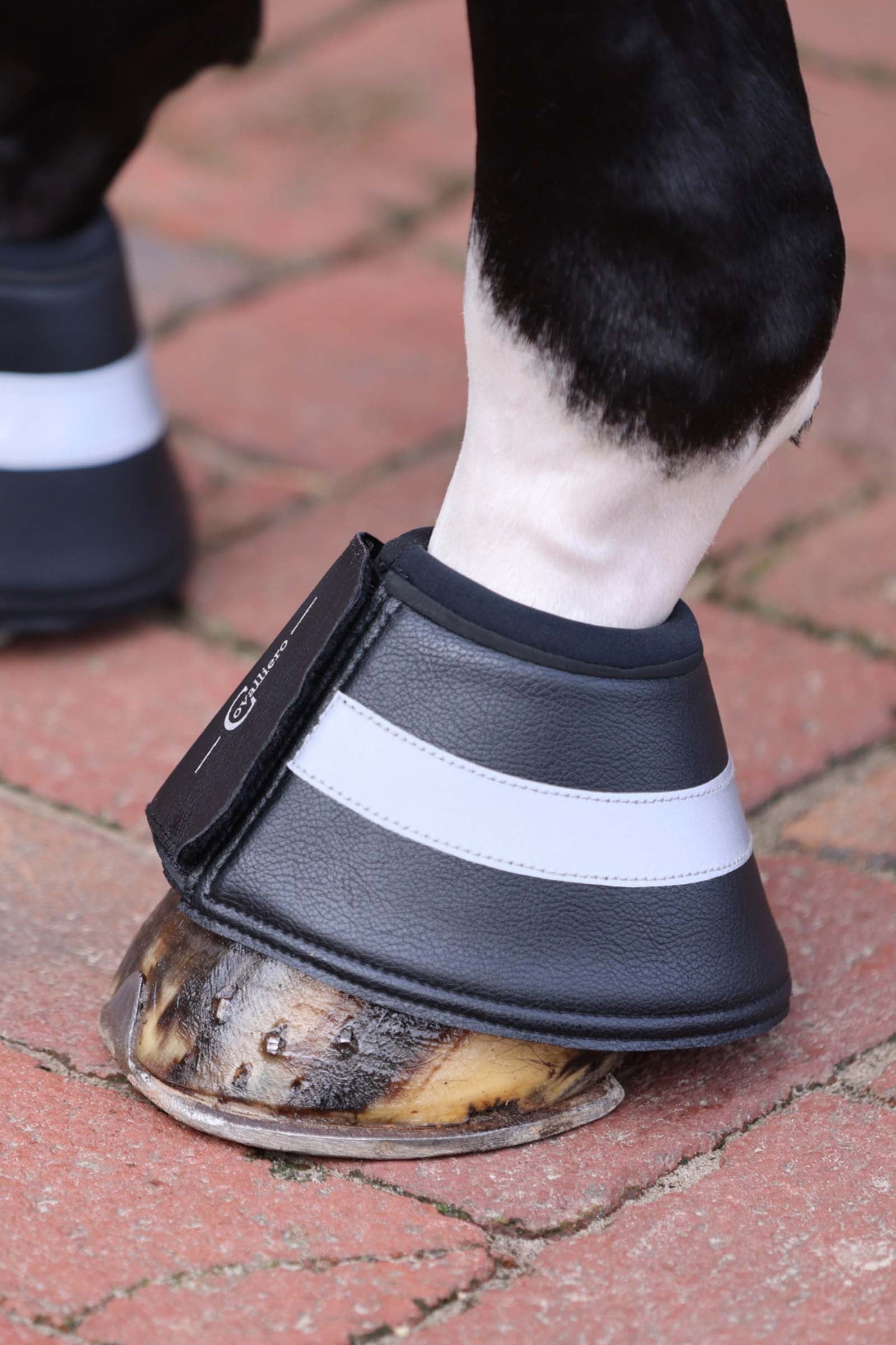 Covalliero Reflective Bell Boots Leg Protection & Hoof Protection for Horses