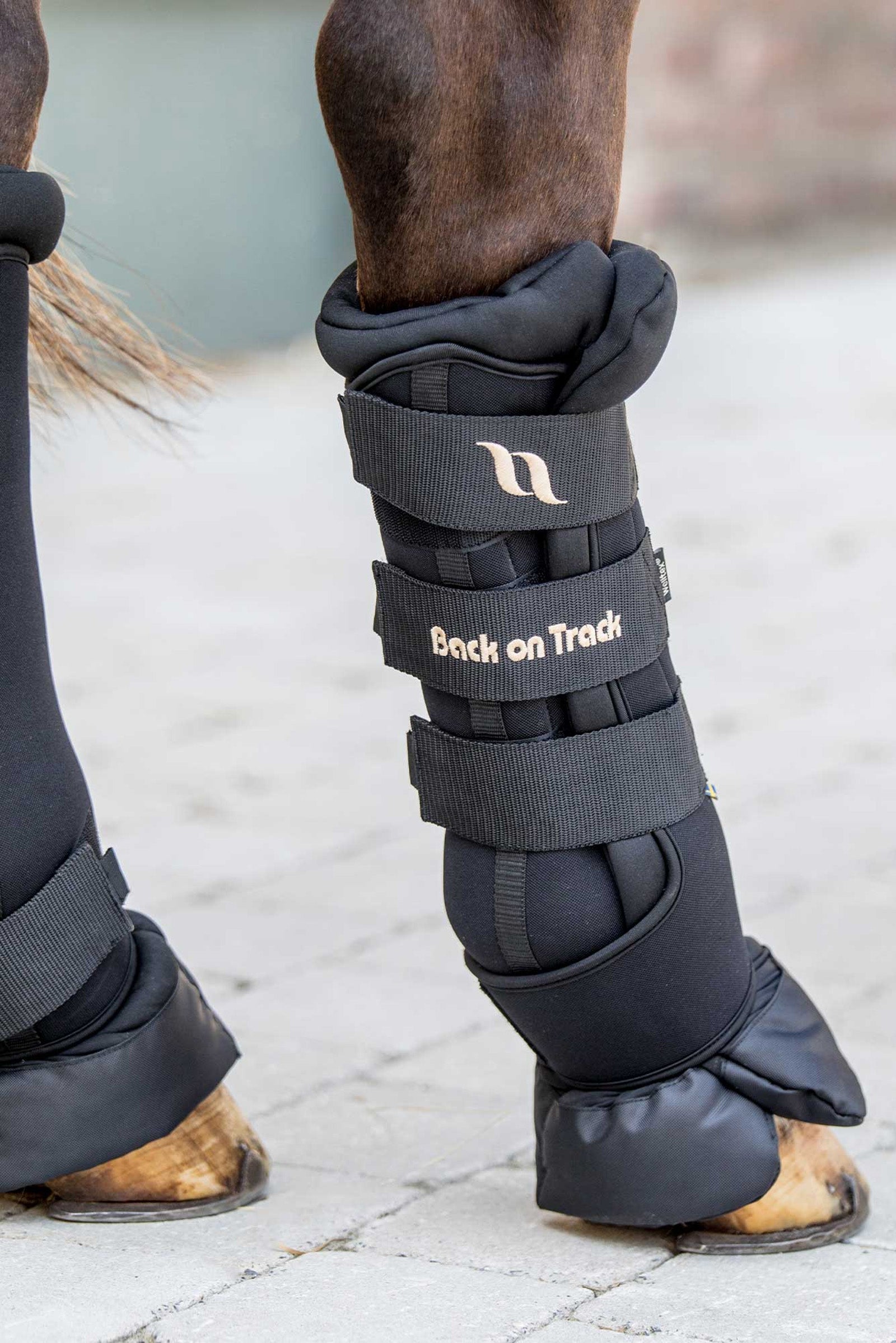 Back on Track Royal Quick Wraps Deluxe (2 pièces) Leg Protection & Hoof Protection for Horses