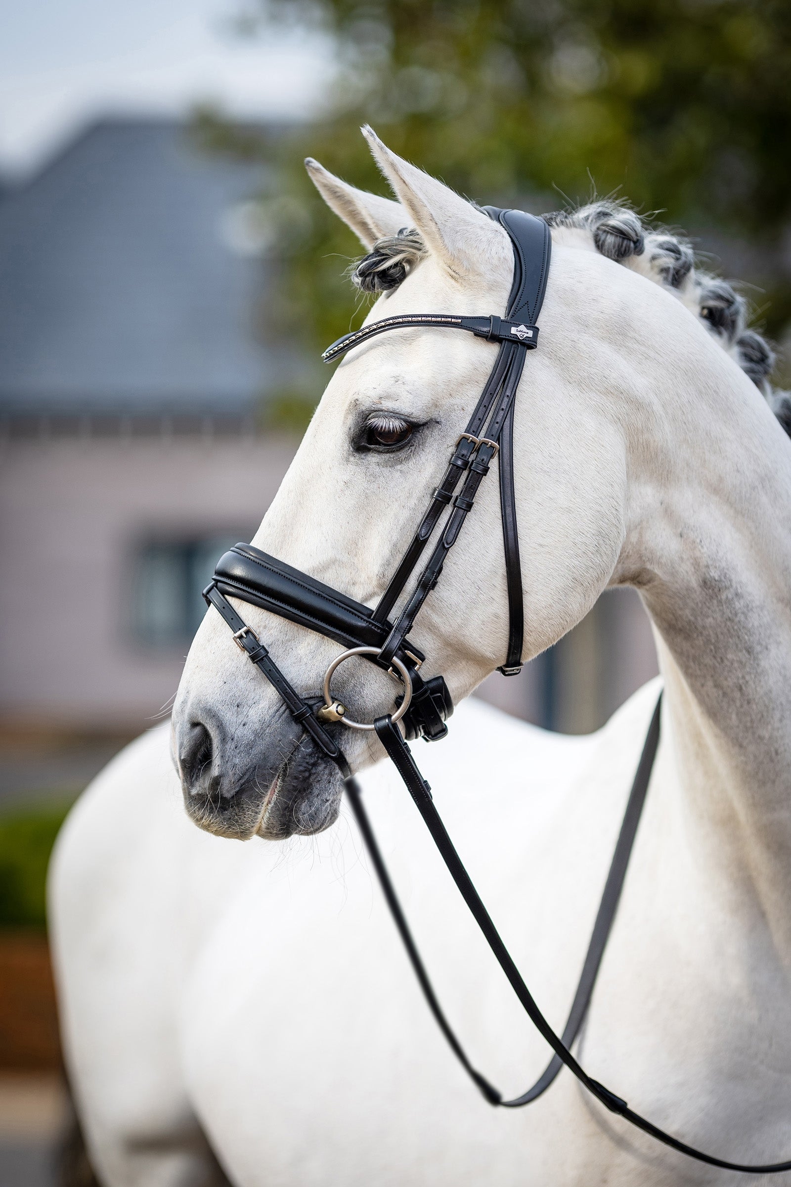 LeMieux Kudos Bride dressage classique LeMieux Briderie et enrênements