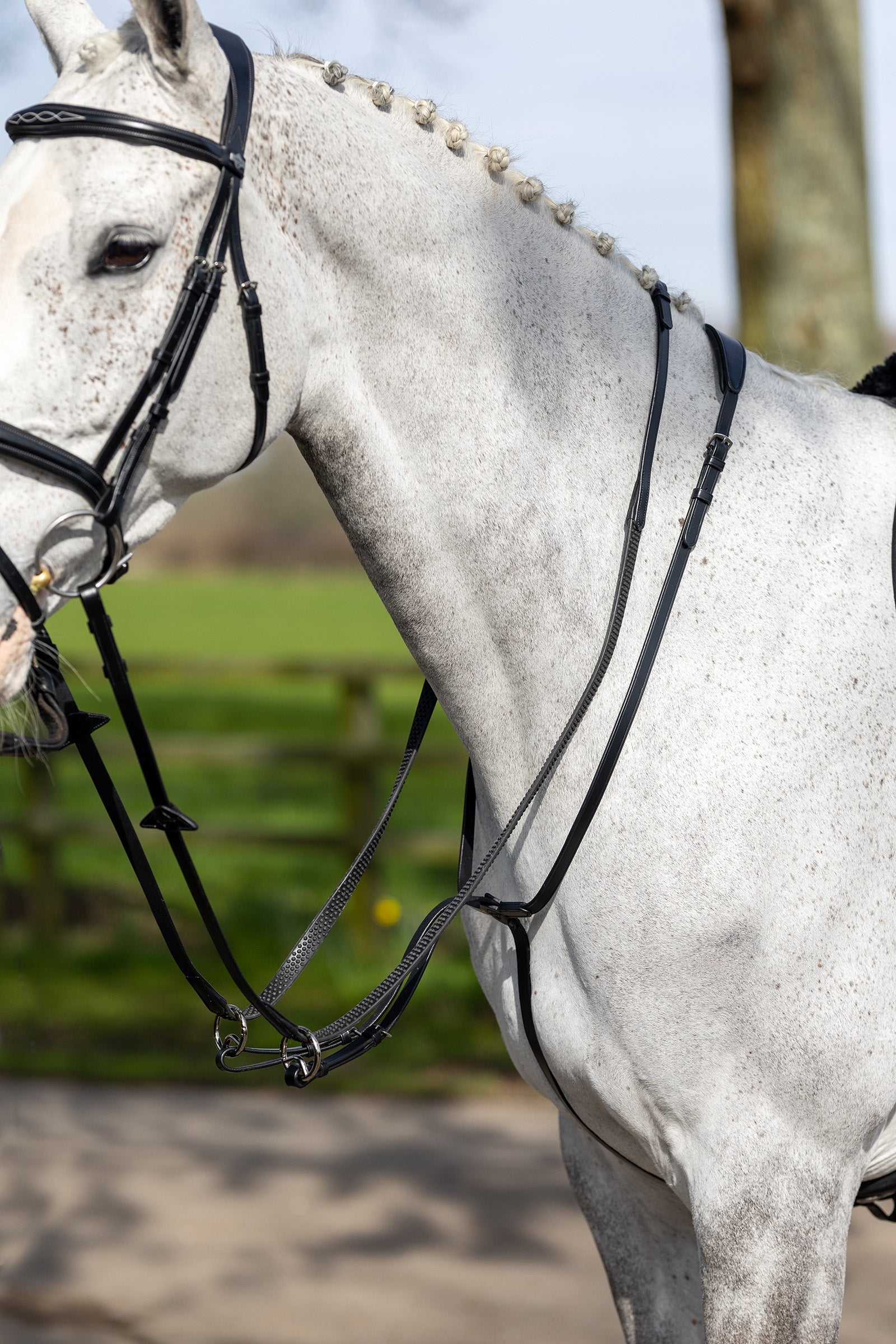 LeMieux Martingale Running Briderie et enrênements