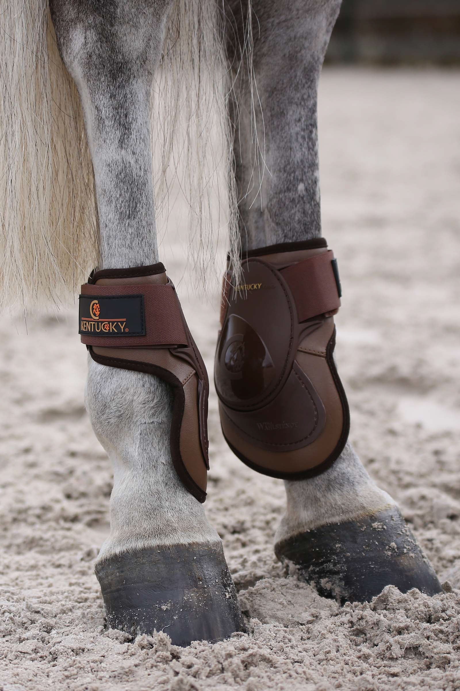 Kentucky Horsewear Protège-boulet Deep Leg Protection & Hoof Protection for Horses