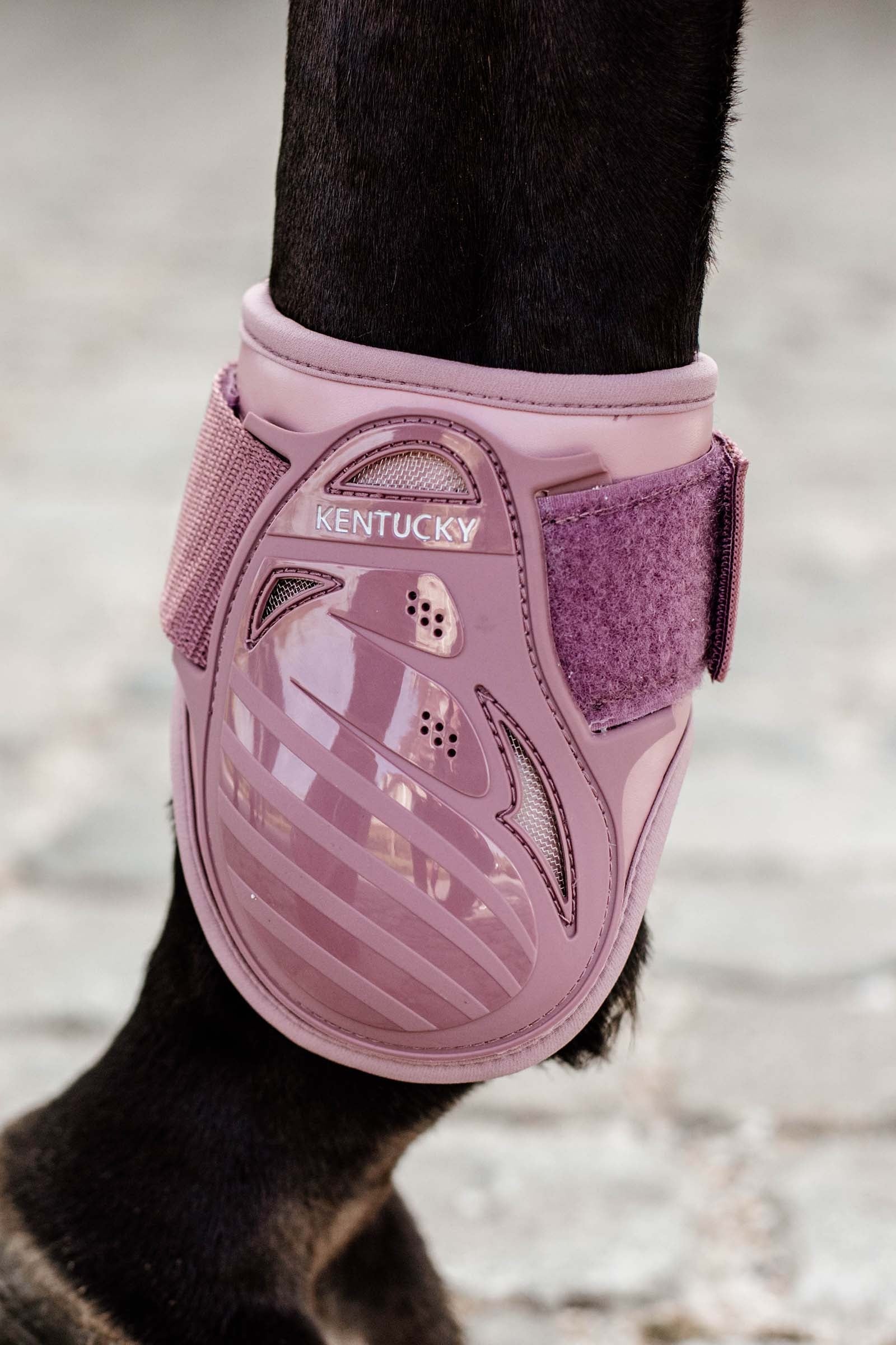 Kentucky Horsewear Young Horse Fetlock Boots Leg & Hoof Protection