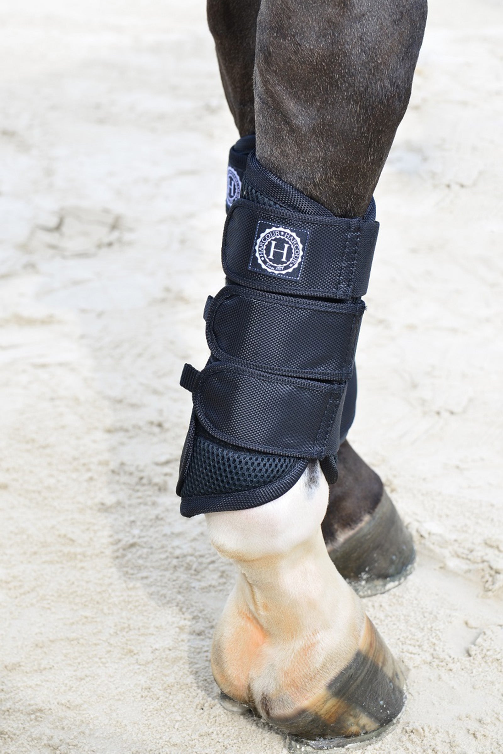 Harcour Cosmic Leg Protection & Hoof Protection for Horses
