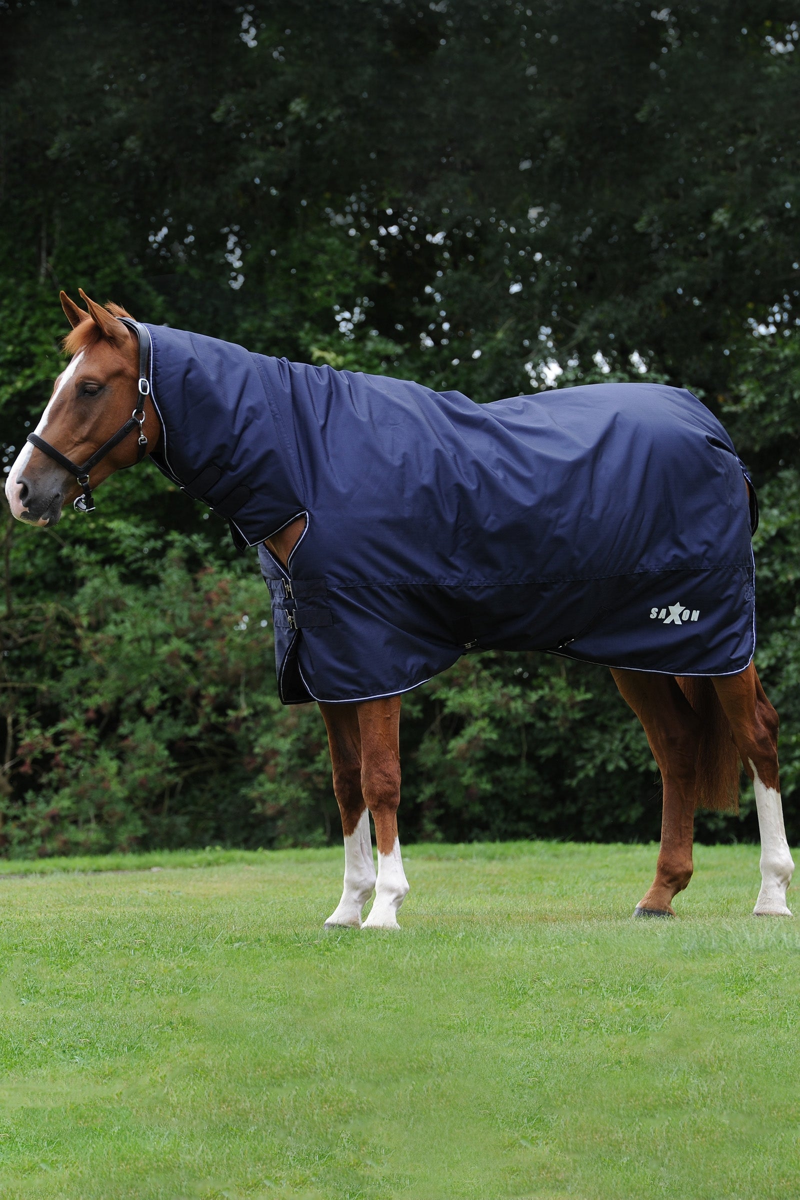 Saxon Defiant 600D Combo Neck Medium Turnout Rug, 200g Horse Rugs