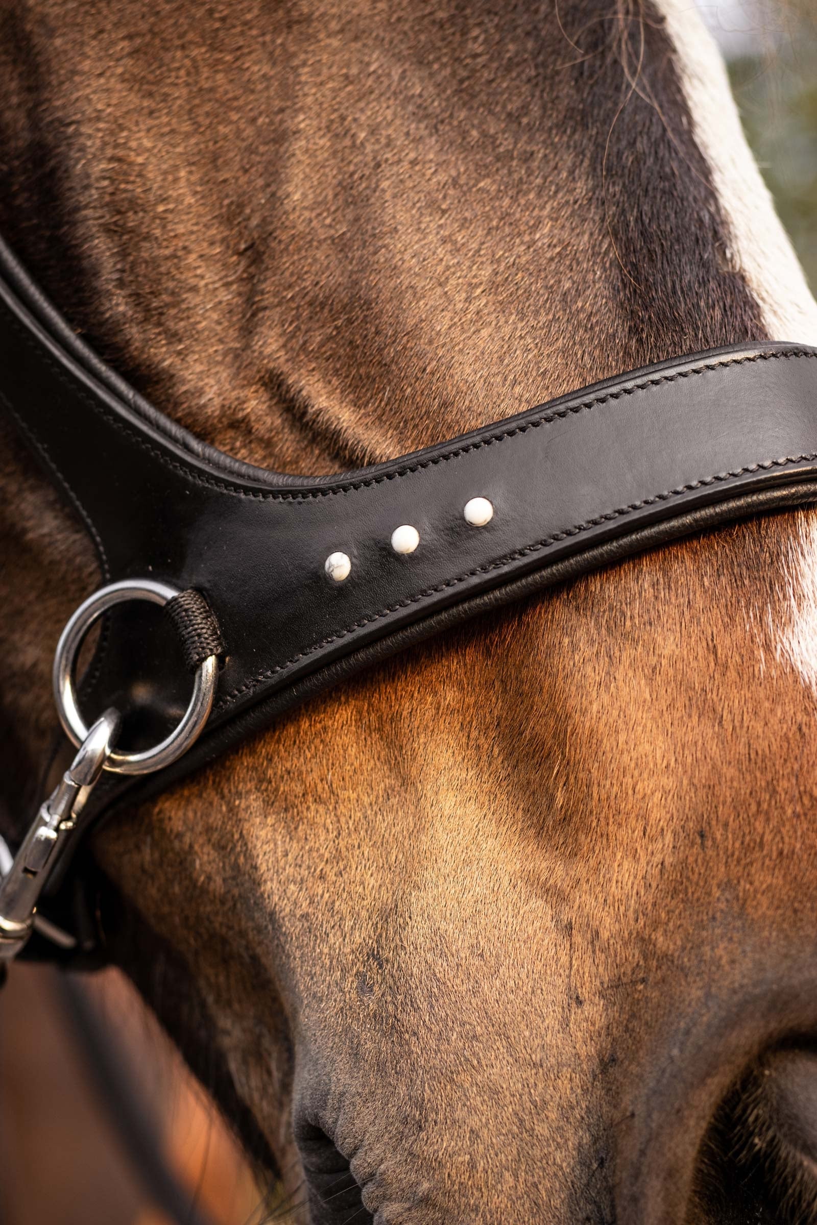 F.R.A. Freedom Riding Articles Glory Sidepull With Reins (System 3), black Bridles & Reins