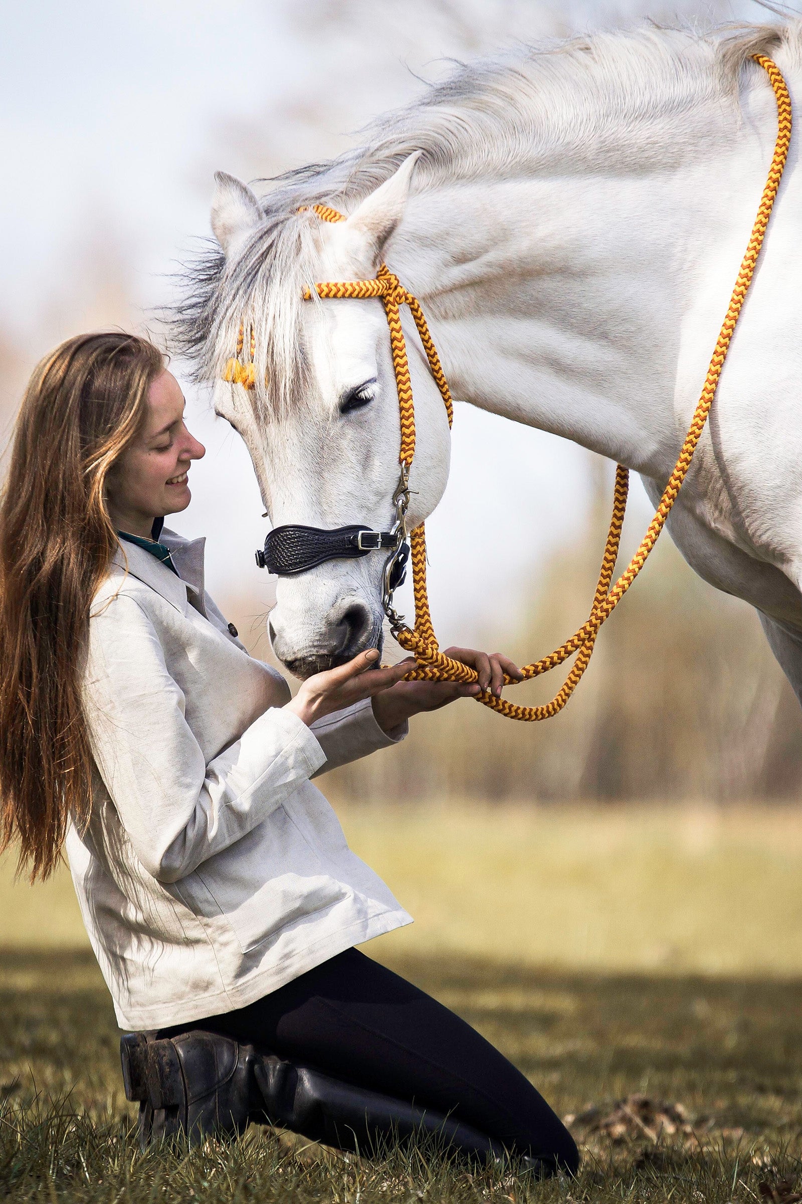 F.R.A. Freedom Riding Articles Fiore hackamore (Système 2) Mors