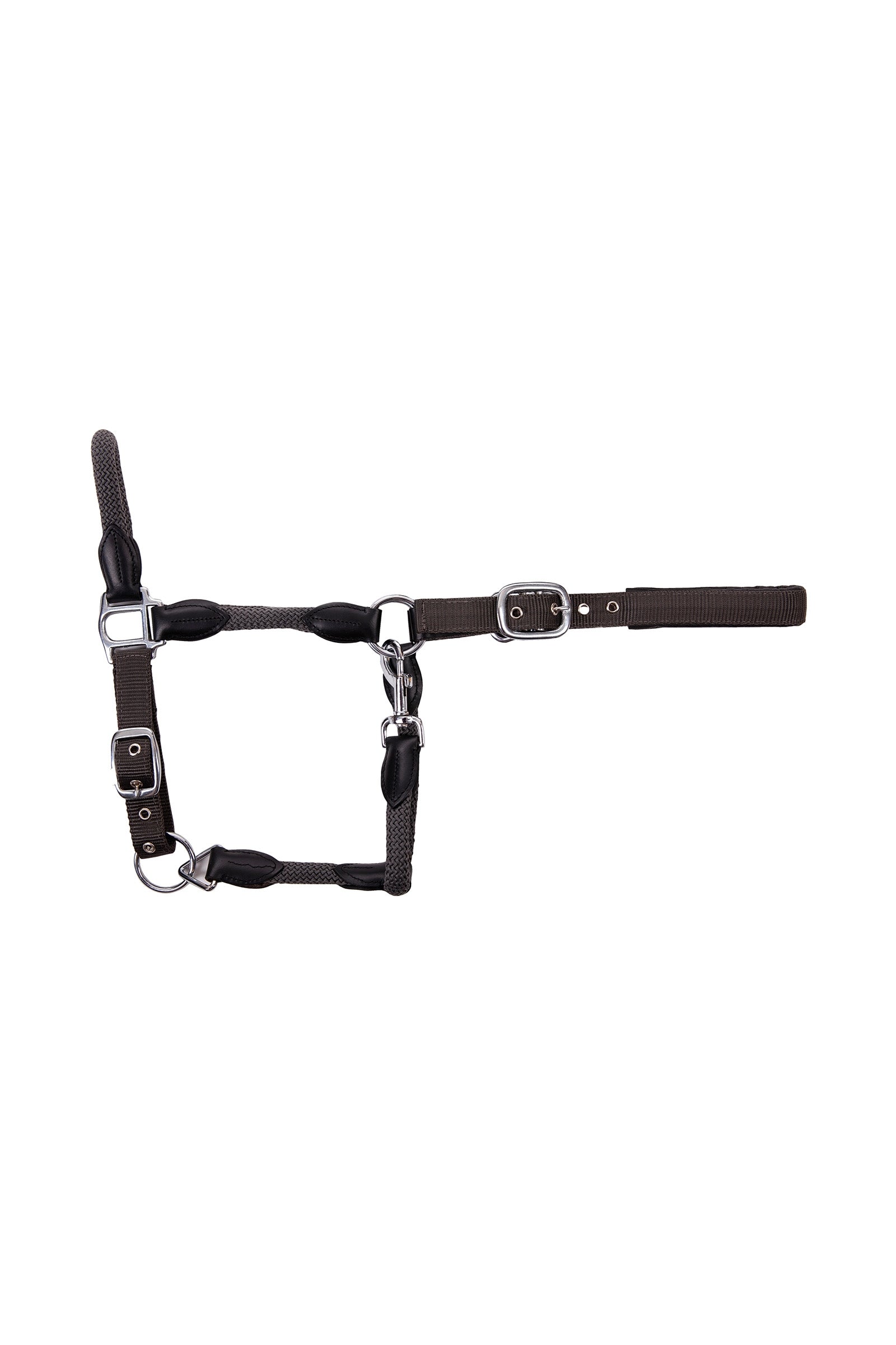 USG Dublin Halter Licols & longes