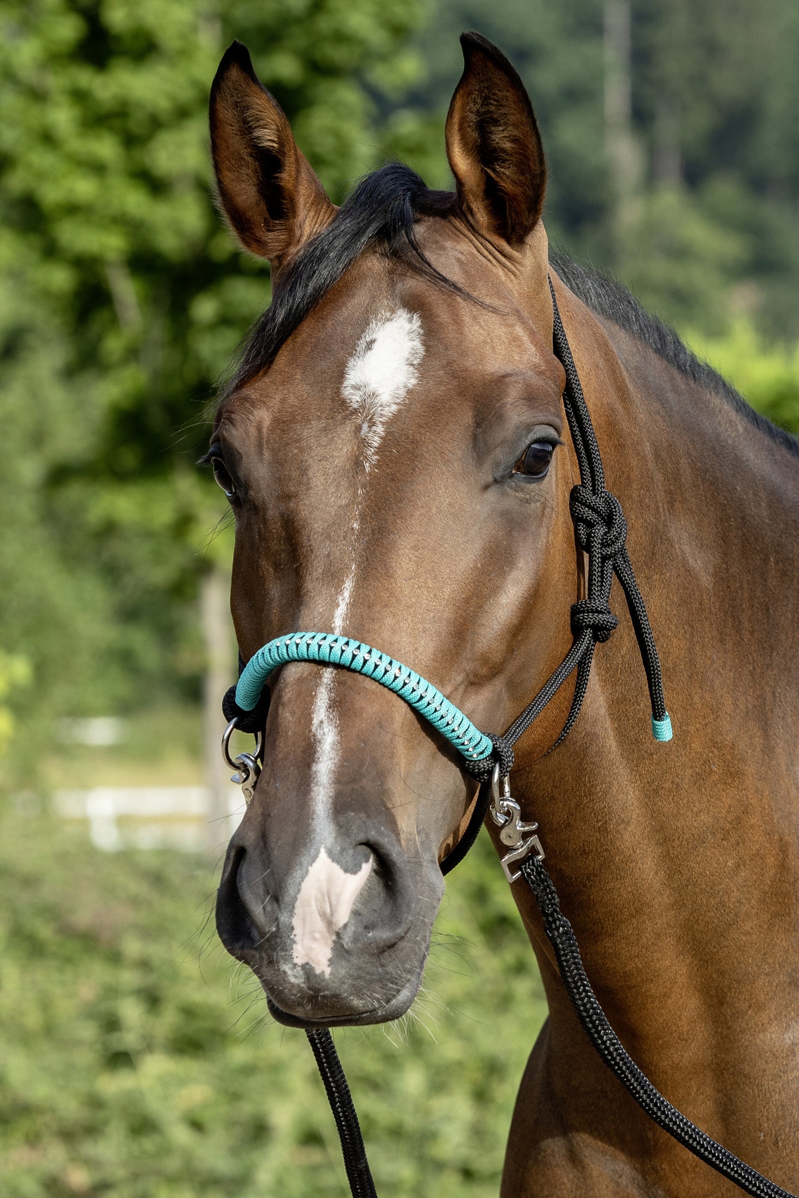 USG Knotted Rope Halter with Reins Licols & longes