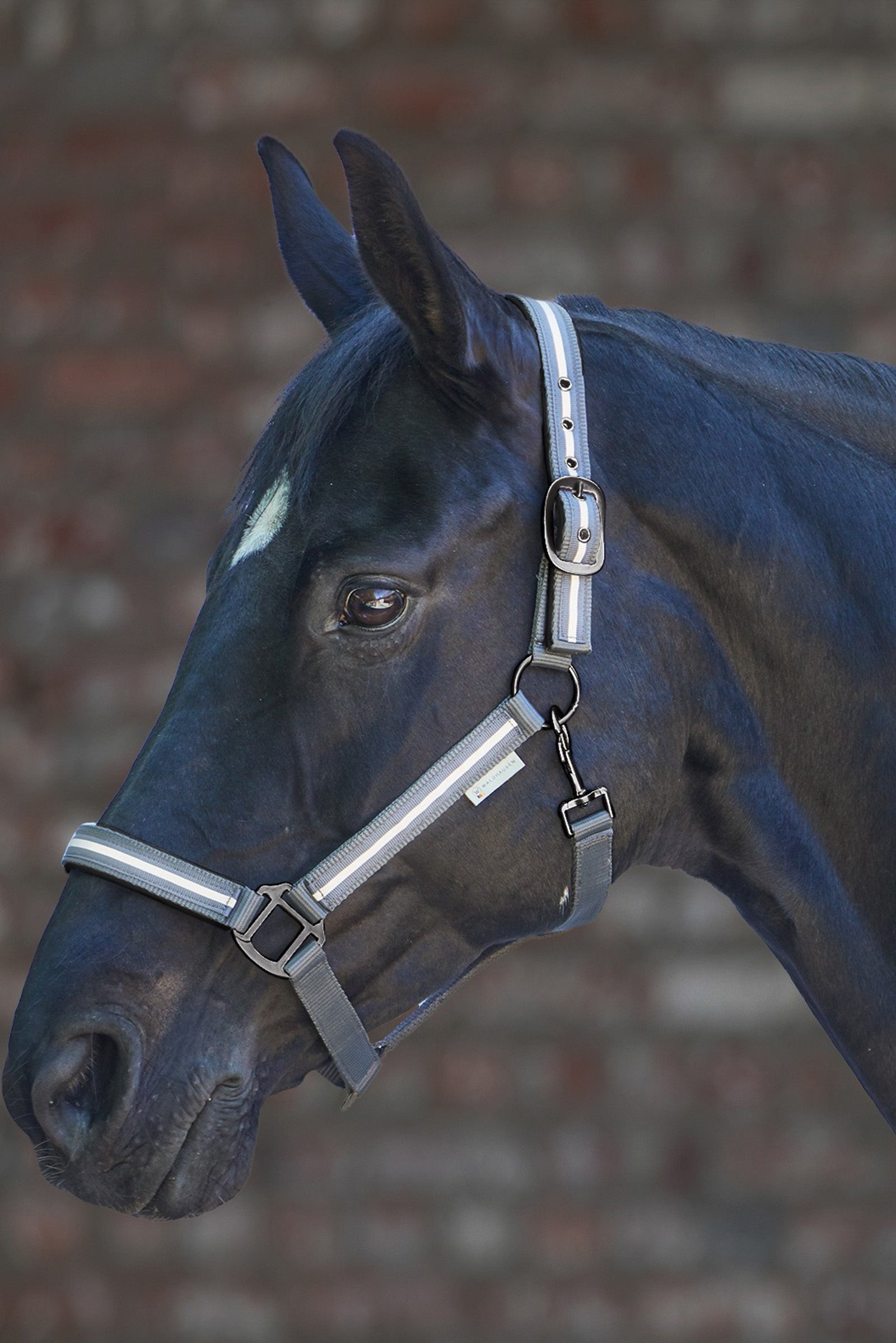 Waldhausen Reflex Stripe Licol Licols & longes