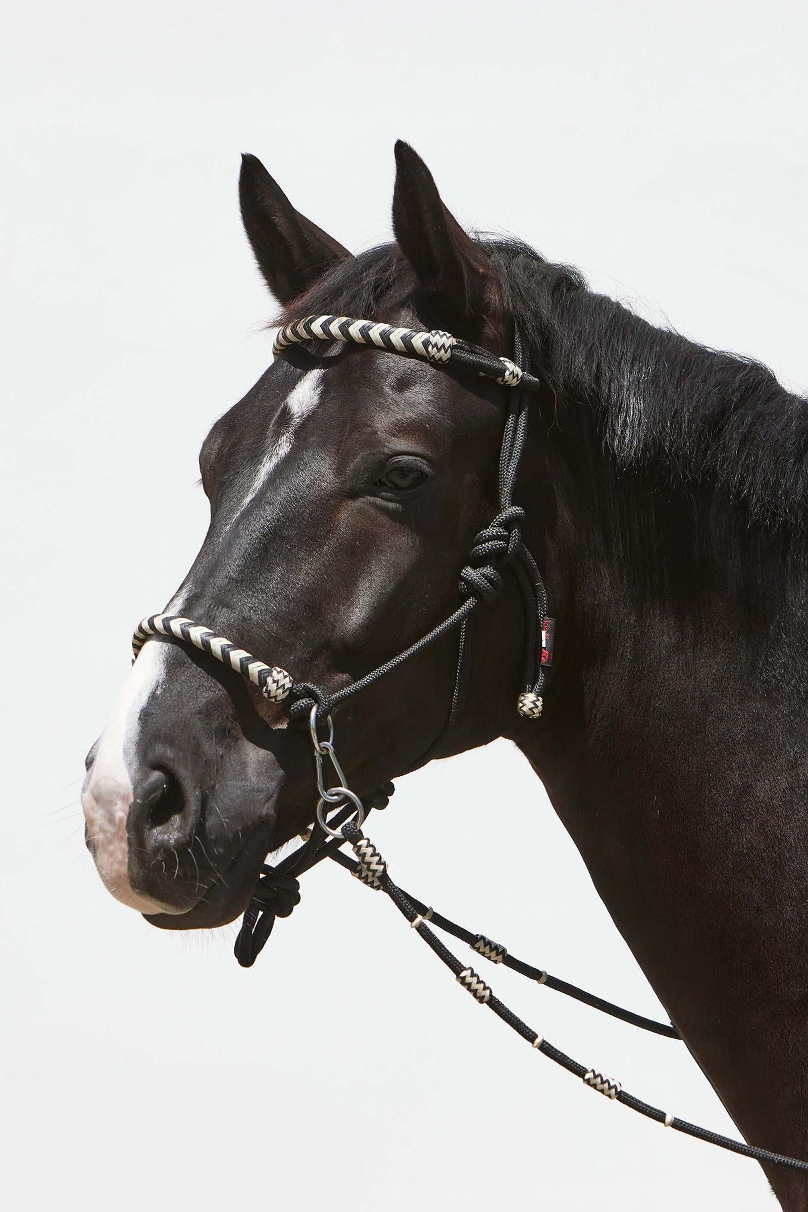 Kieffer Enya Rope Halter Licols & longes