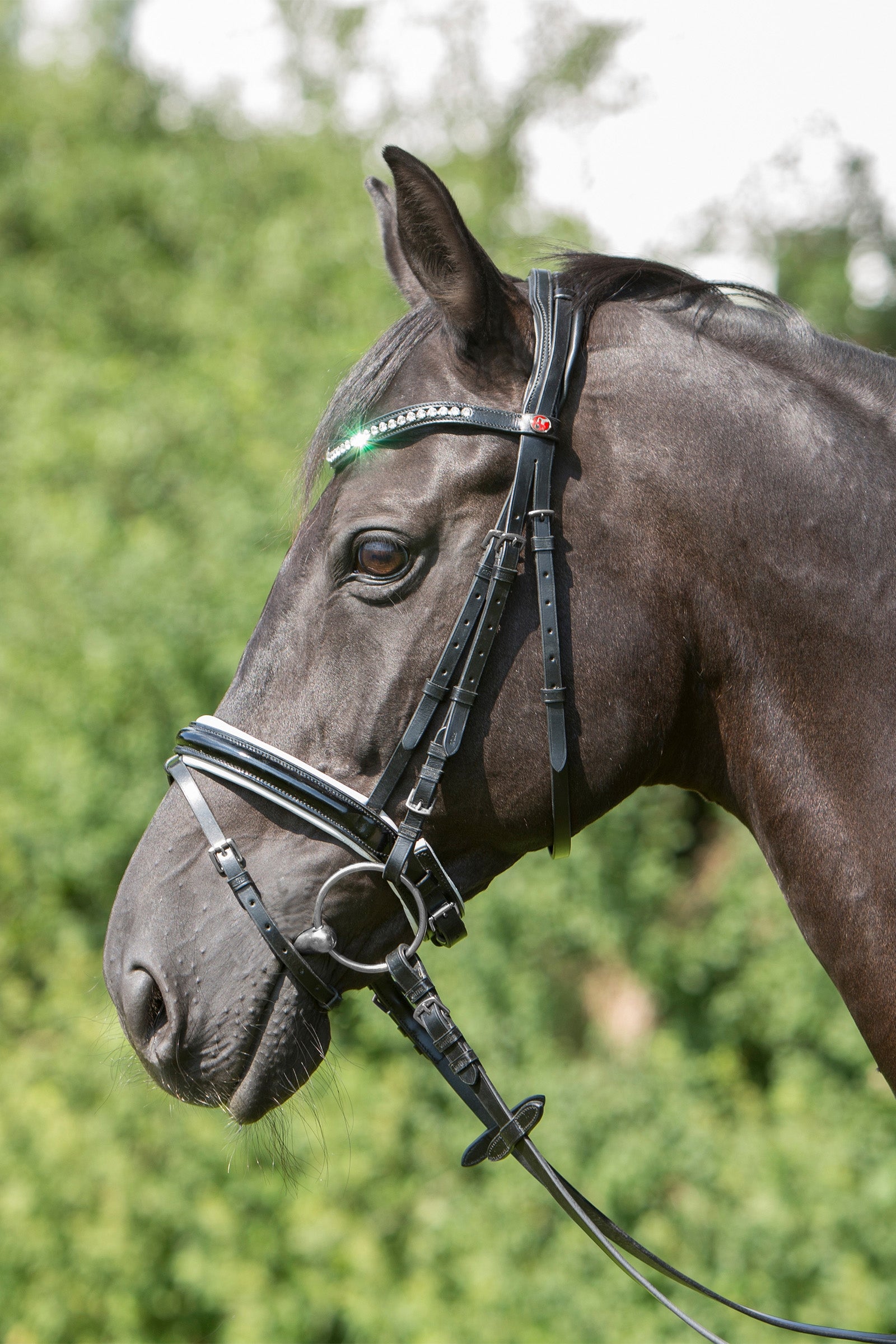Kieffer Comfort Paris Bridle Briderie et enrênements