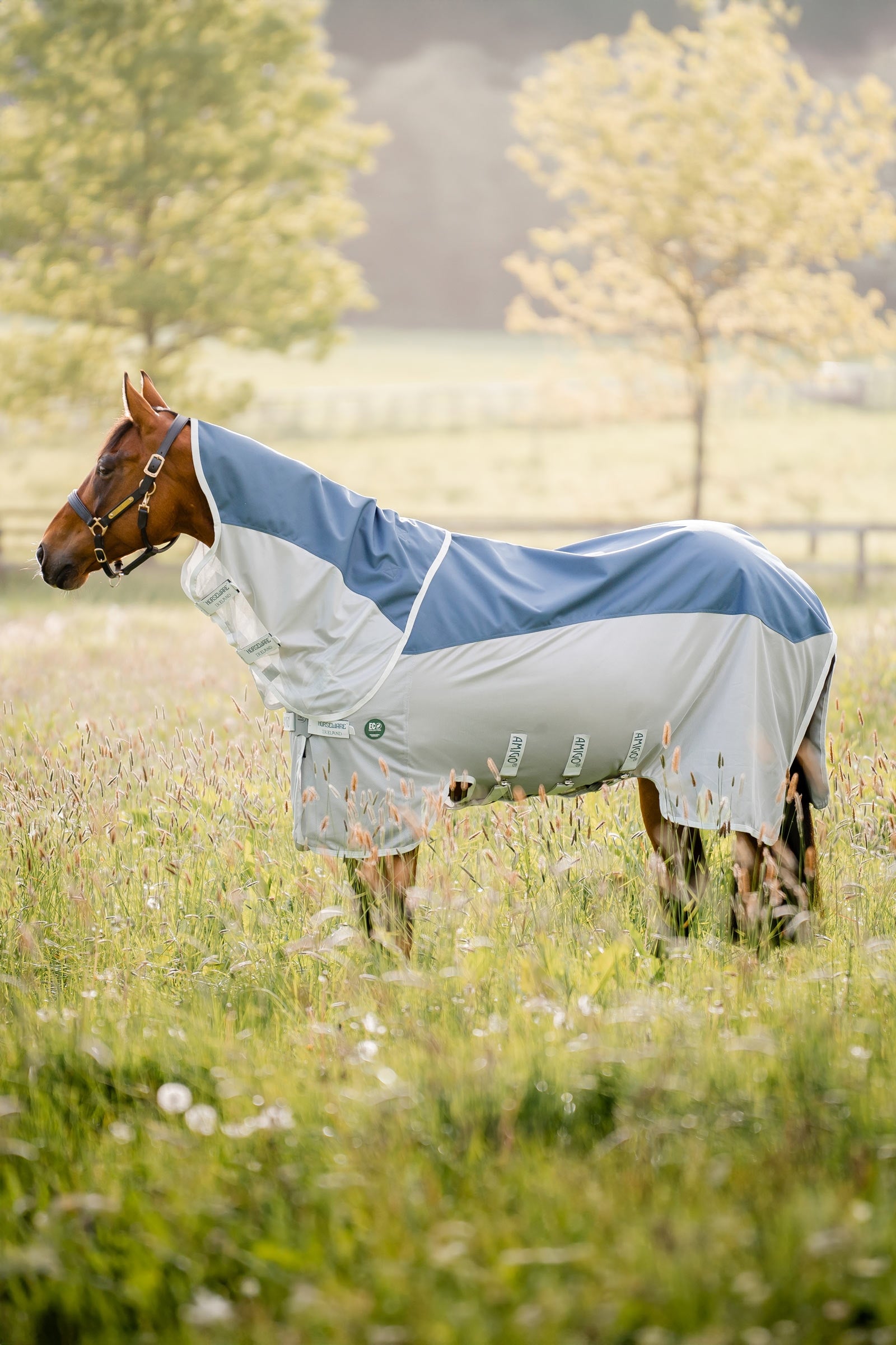 Horseware Amigo AmEco Combi couverture anti-mouches Couvertures cheval